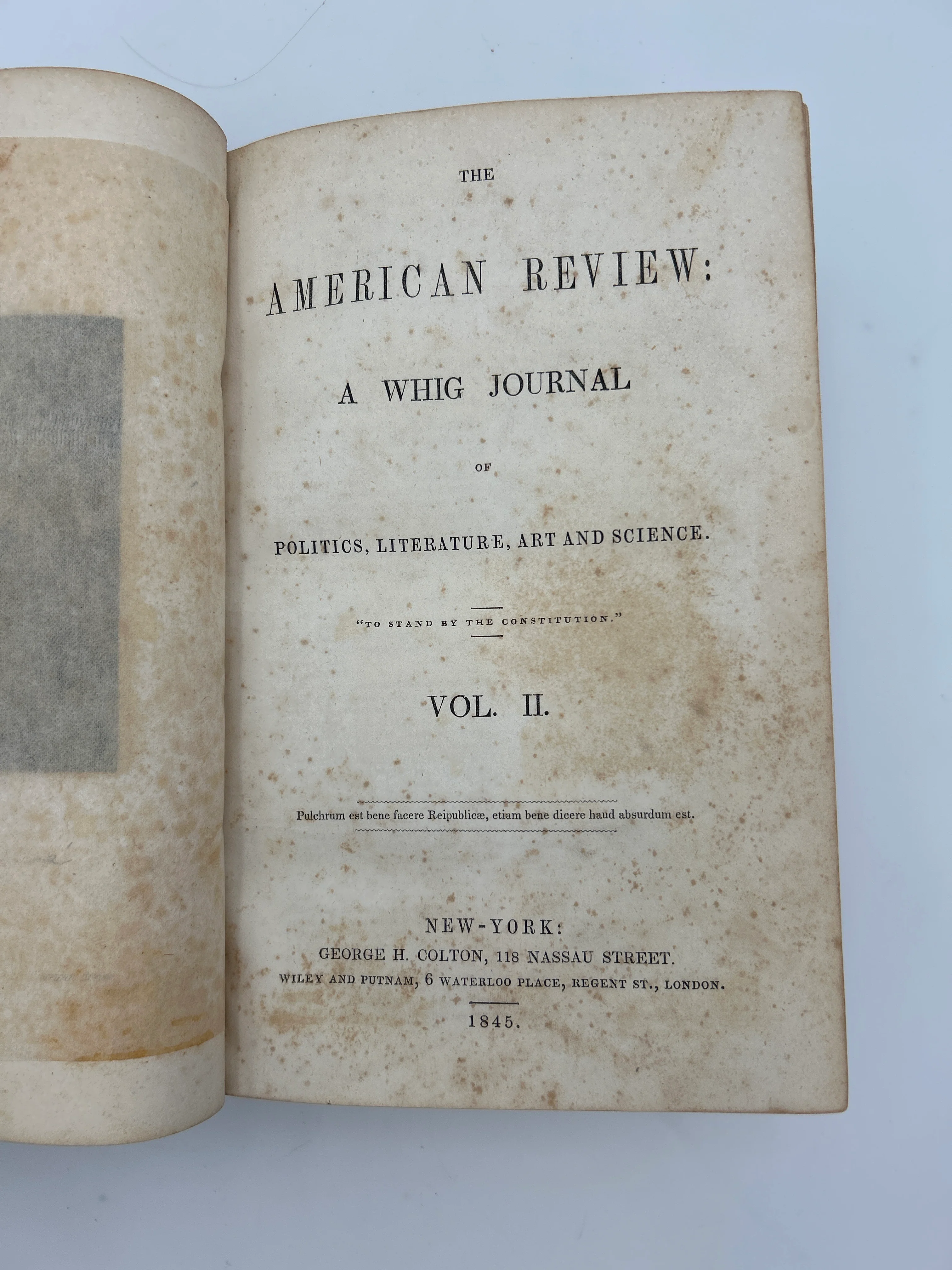 The American Review - Image 13
