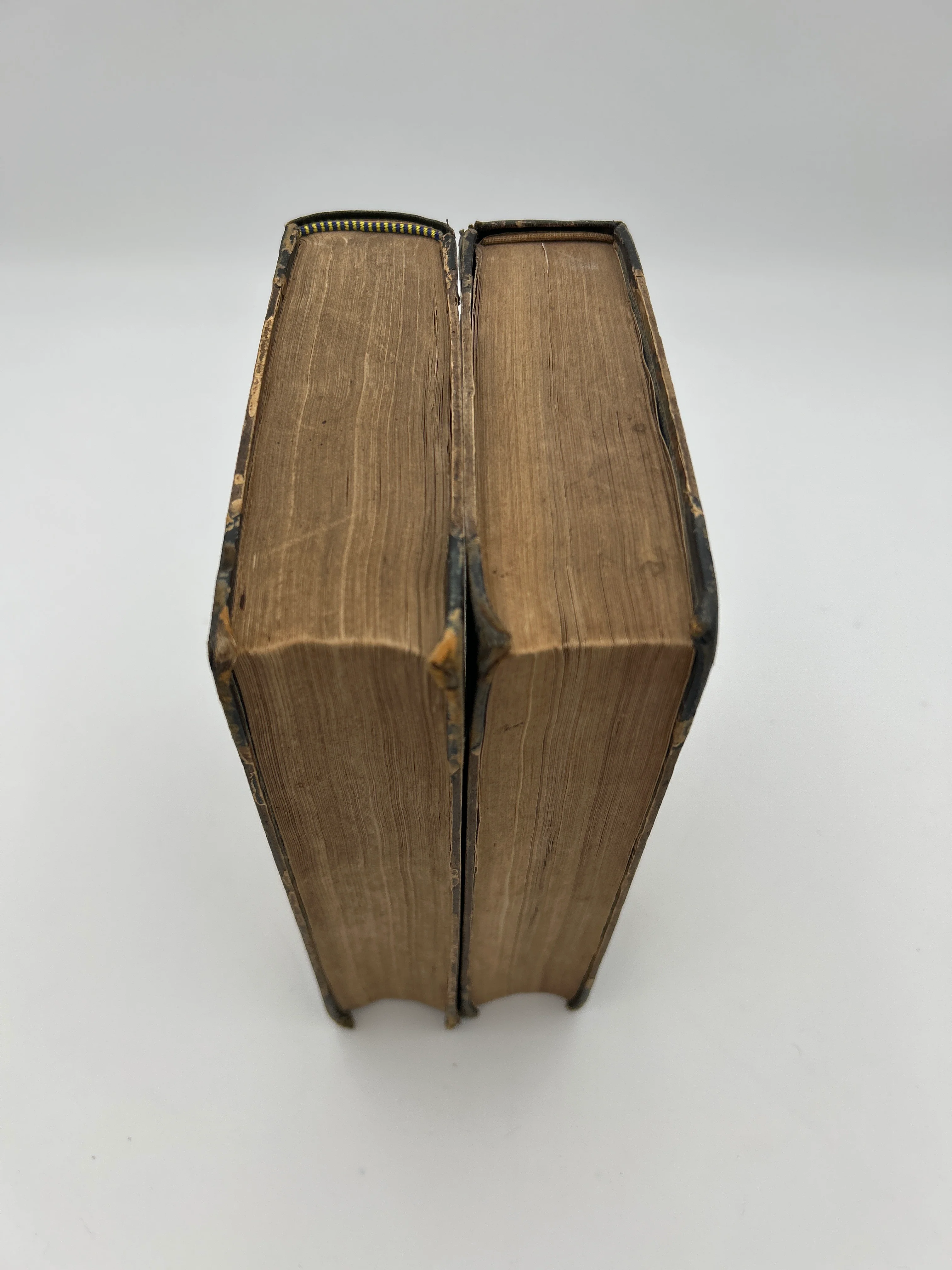 The American Review - Image 16