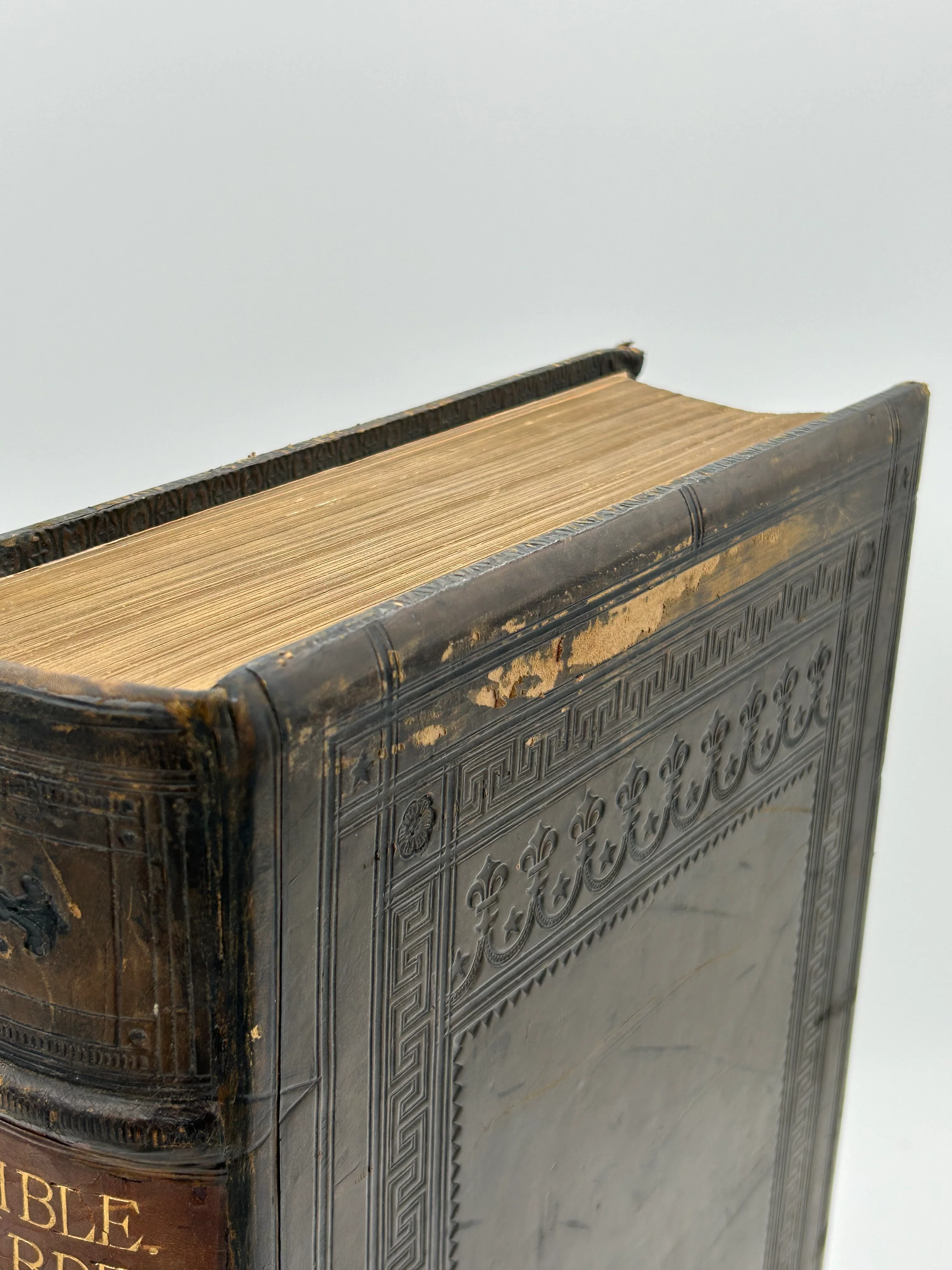 Holy Bible 1566 - Image 3