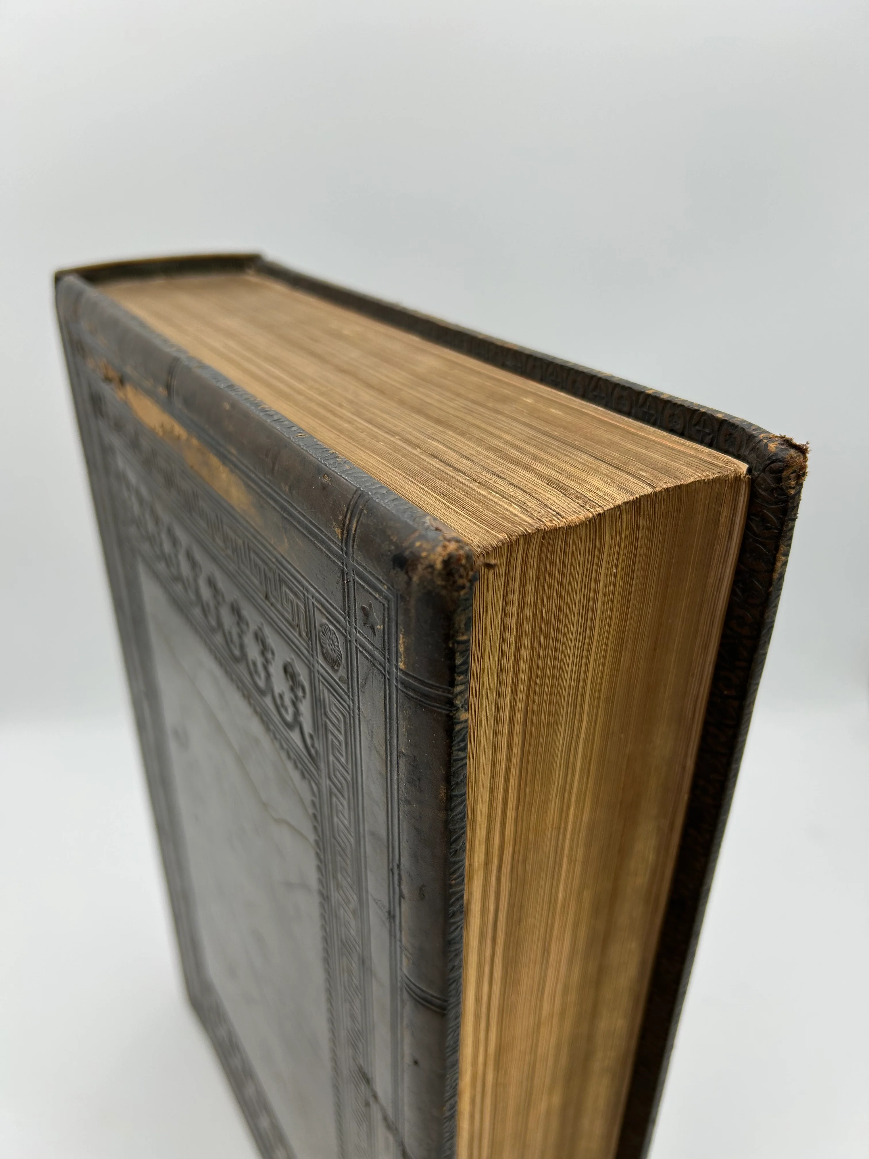 Holy Bible 1566 - Image 5