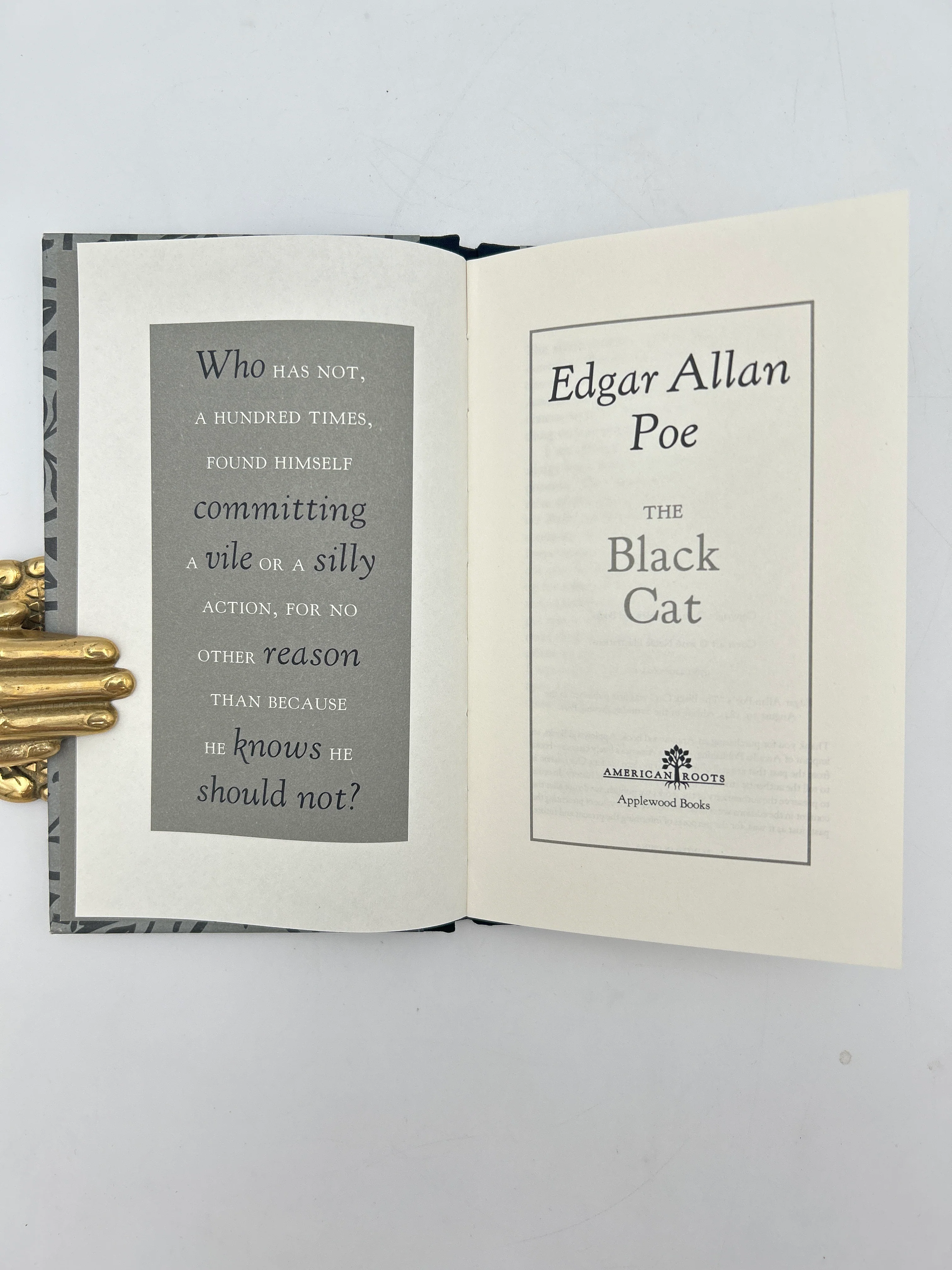 The Black Cat - Image 3