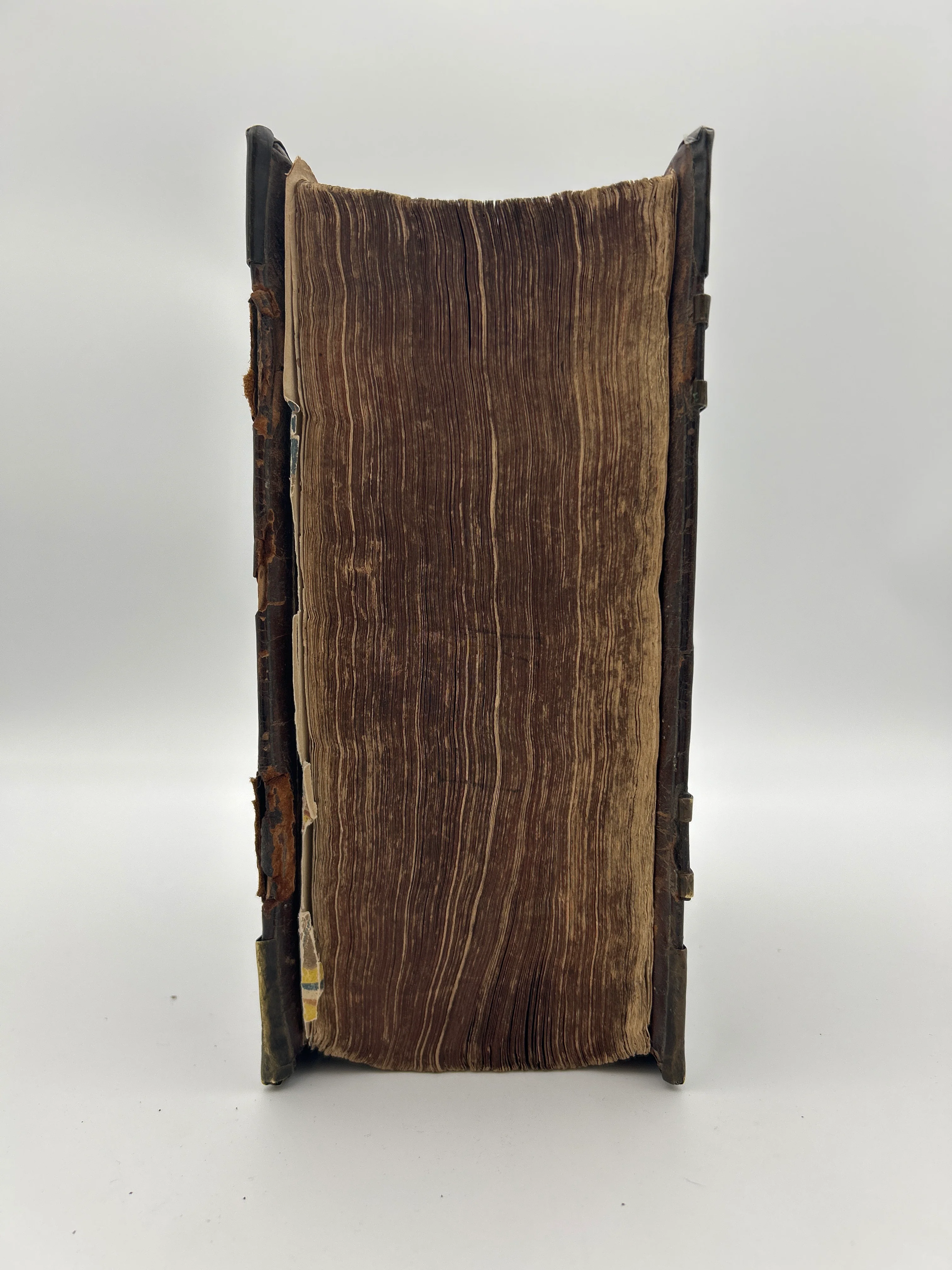 King James Bible, The Book of Common Prayer - Image 4