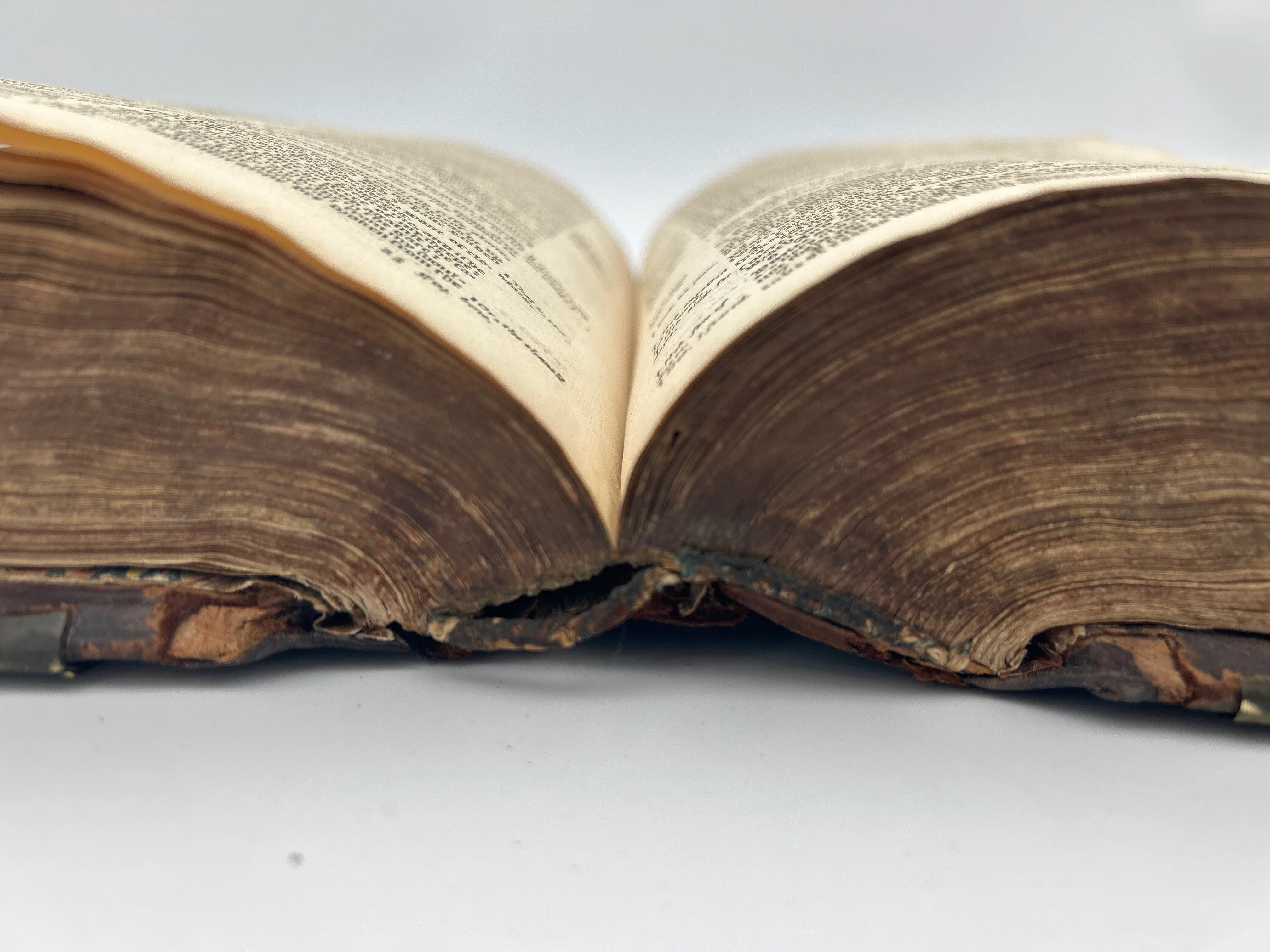 King James Bible, The Book of Common Prayer - Image 7