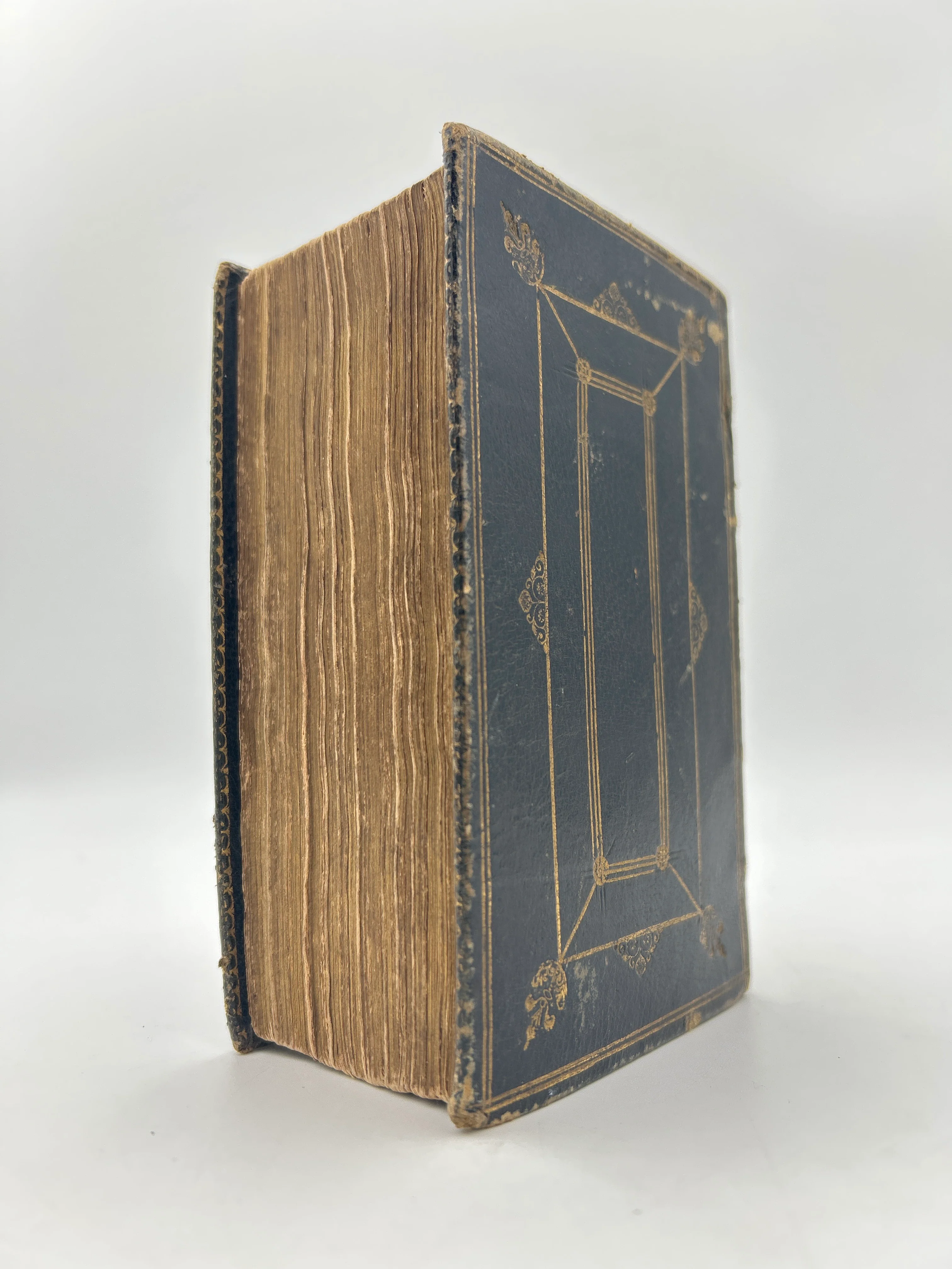 The Book of Common Prayer - Image 5