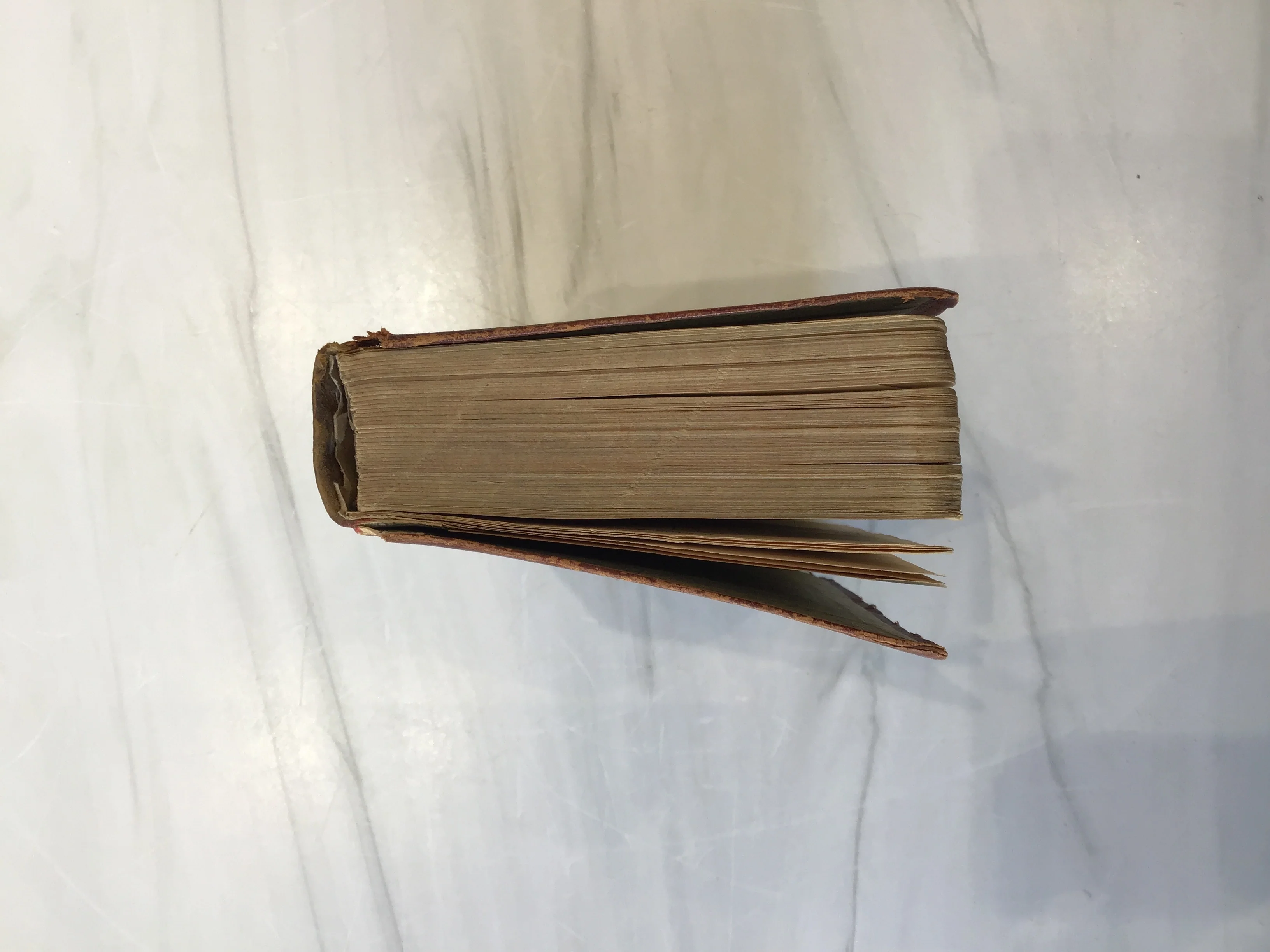 The Book of Mormon - Image 4