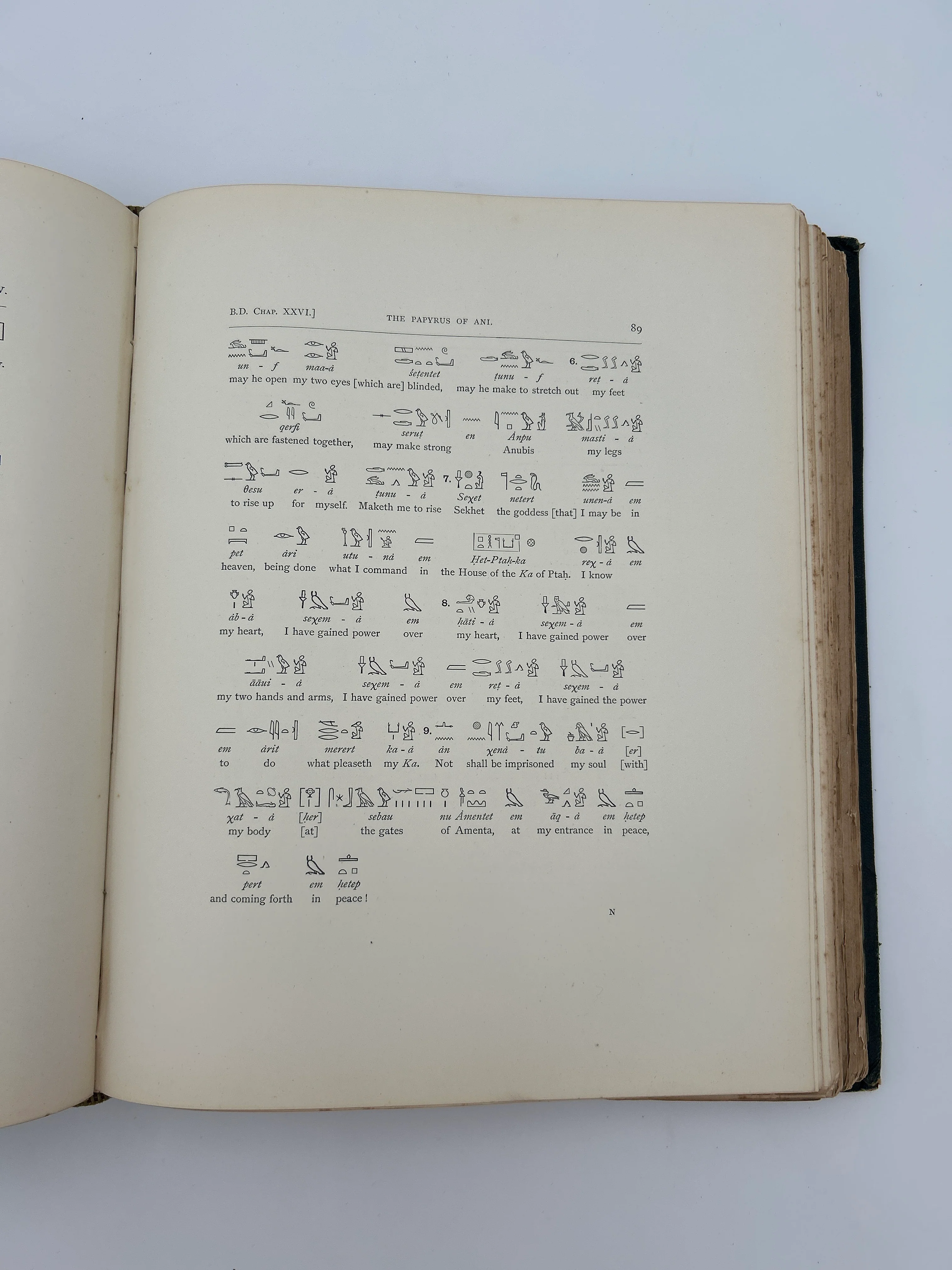 The Book of the Dead - Image 2
