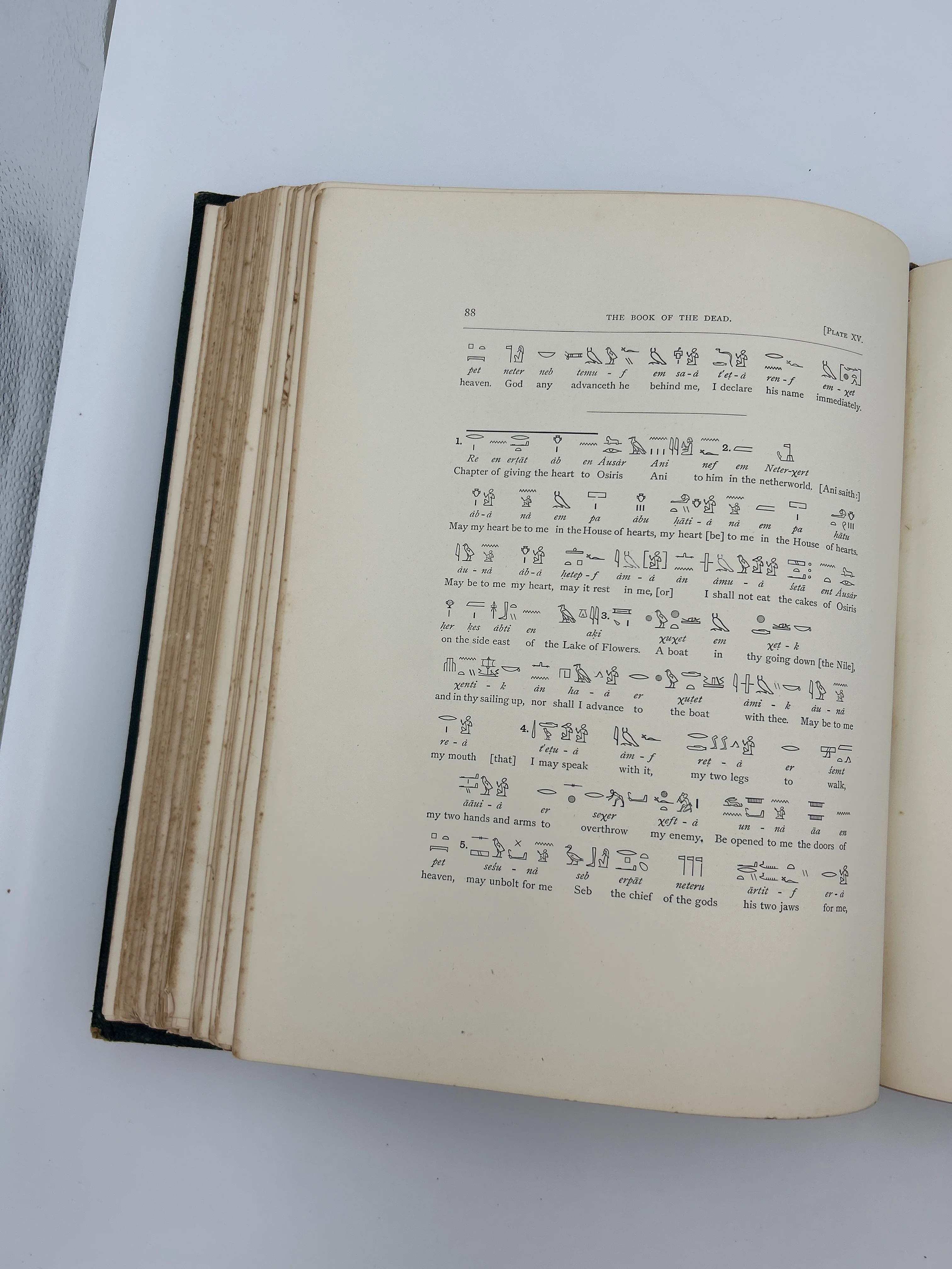 The Book of the Dead - Image 3