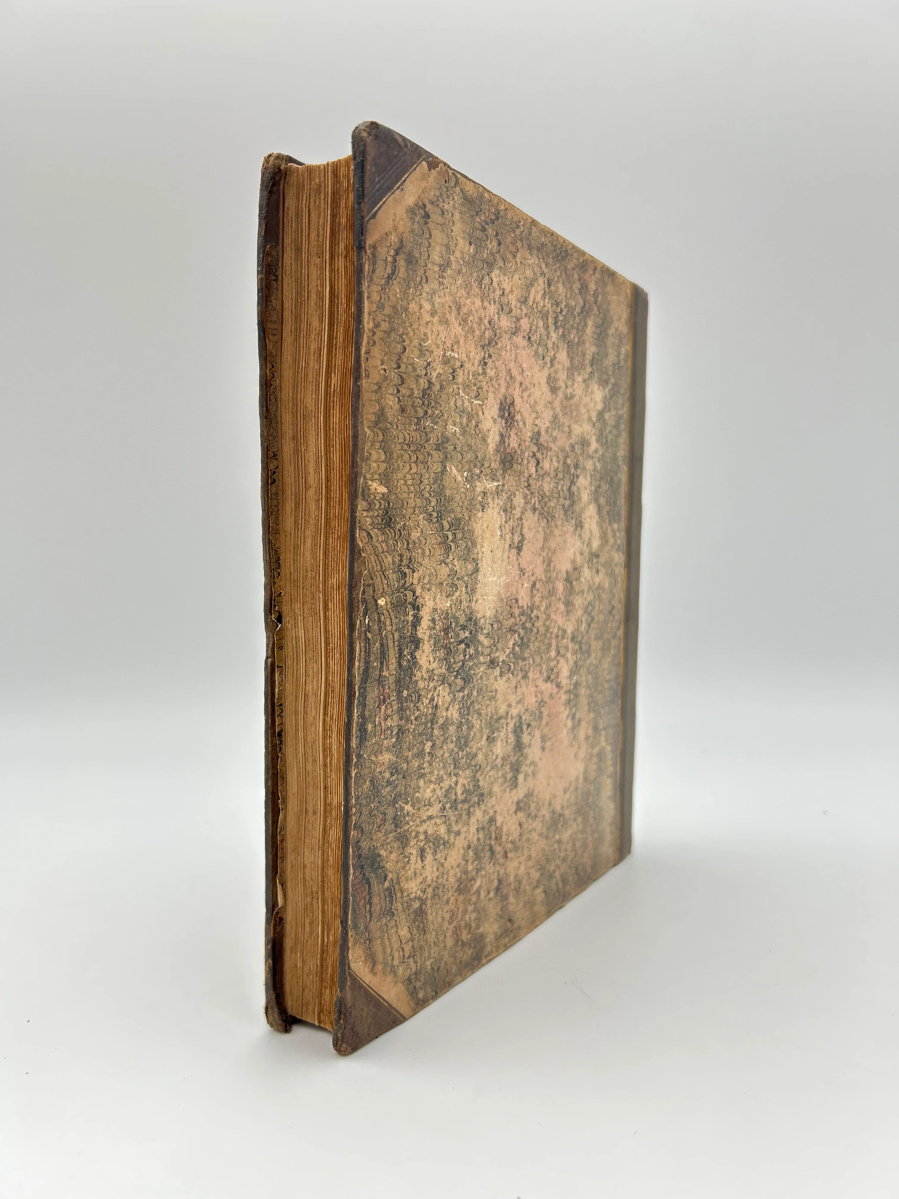 The Botanic Garden in Three Volumes - Image 13