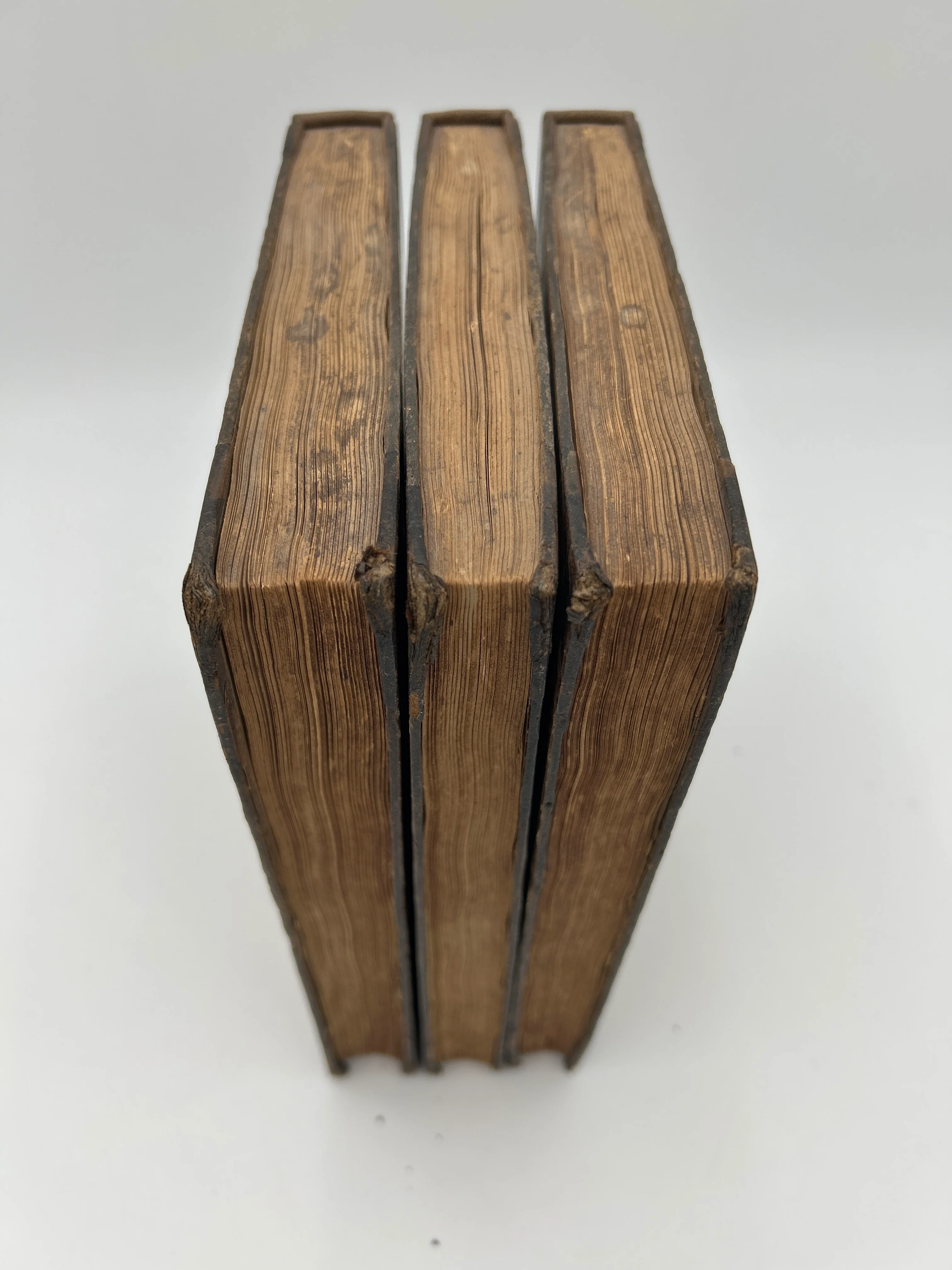 The Botanic Garden in Three Volumes - Image 16