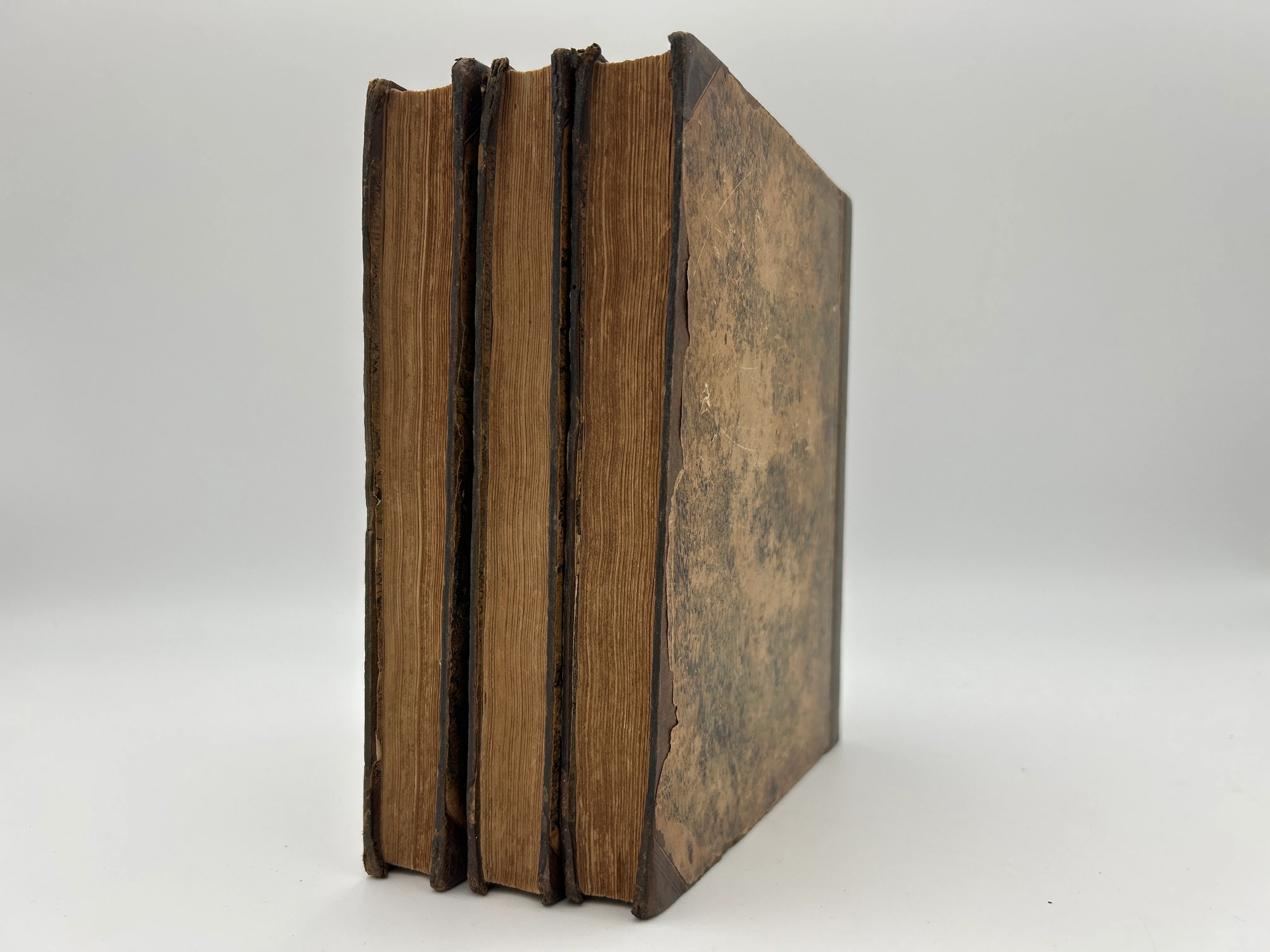The Botanic Garden in Three Volumes - Image 2