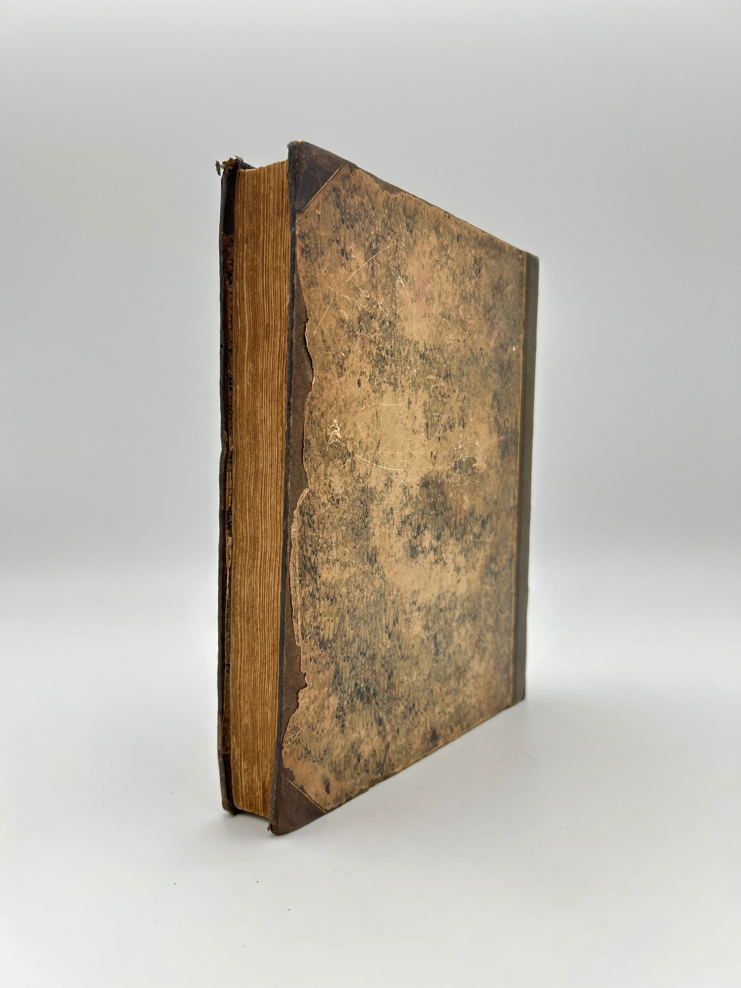 The Botanic Garden in Three Volumes - Image 4
