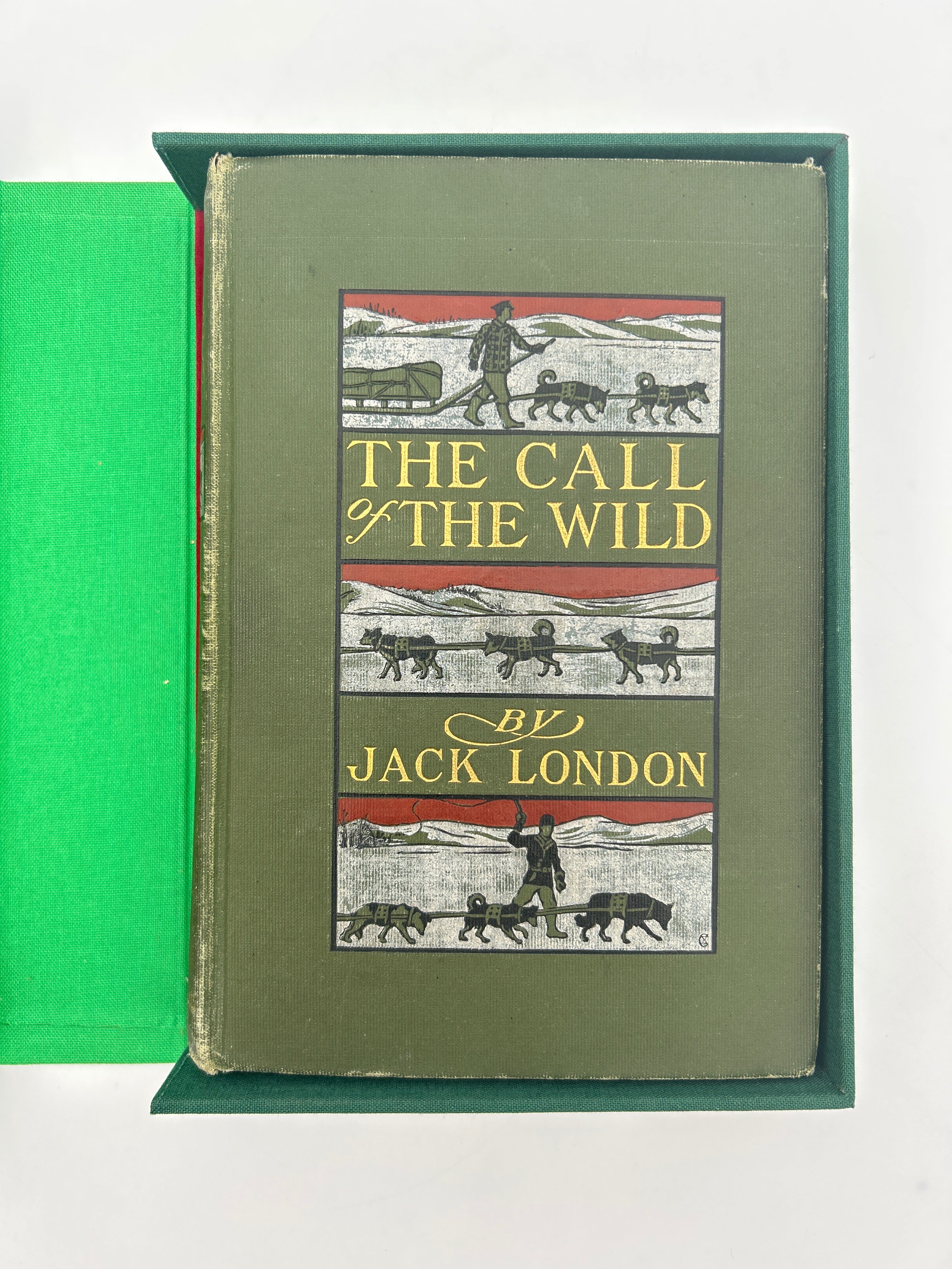 The Call of the Wild - Image 11