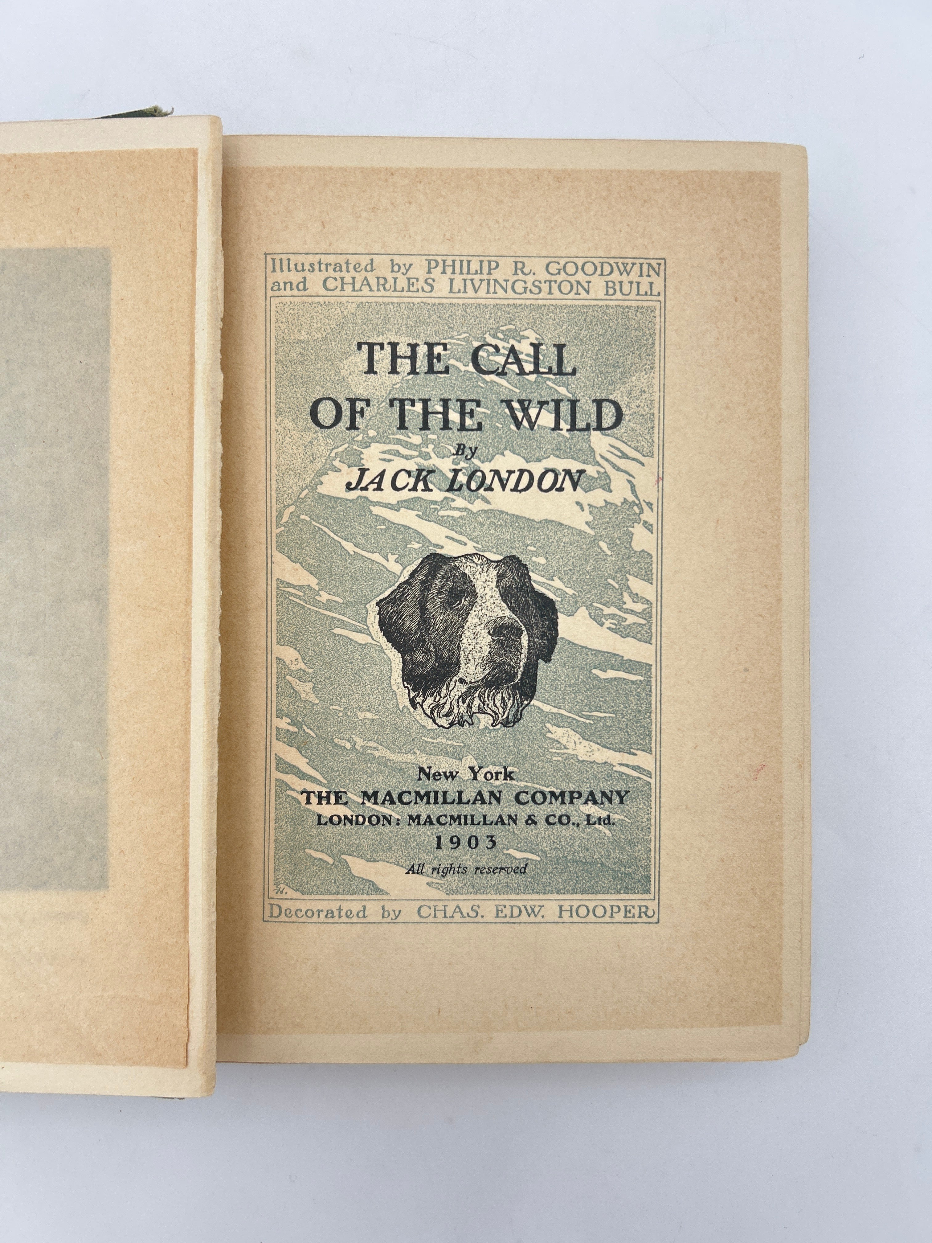 The Call of the Wild - Image 2
