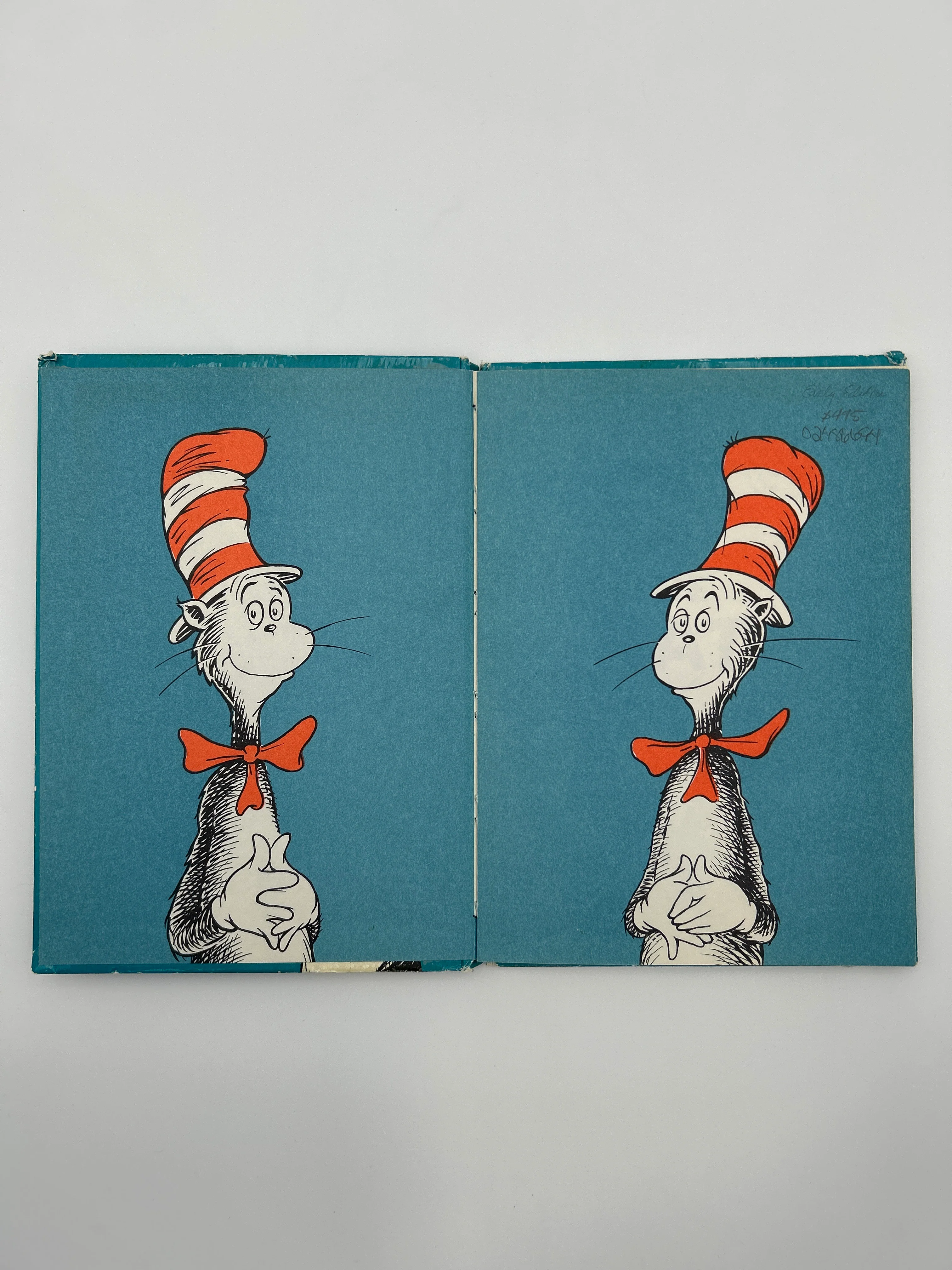 The Cat in the Hat - Image 3