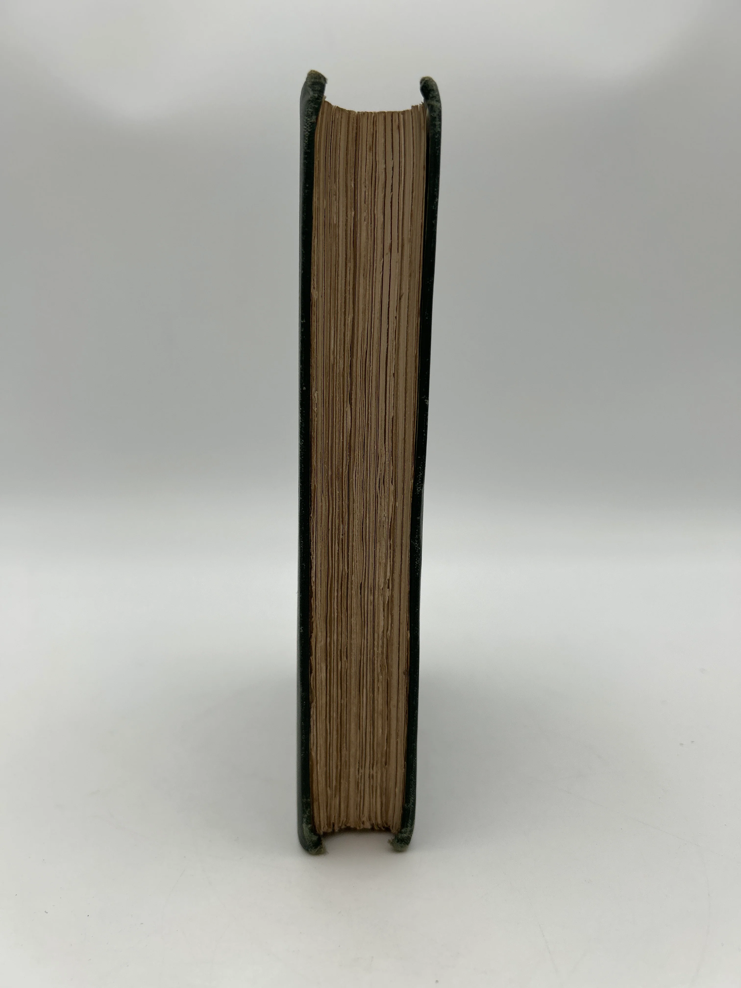 The Count of Monte Cristo - Bruce Ismay Copy - Image 19
