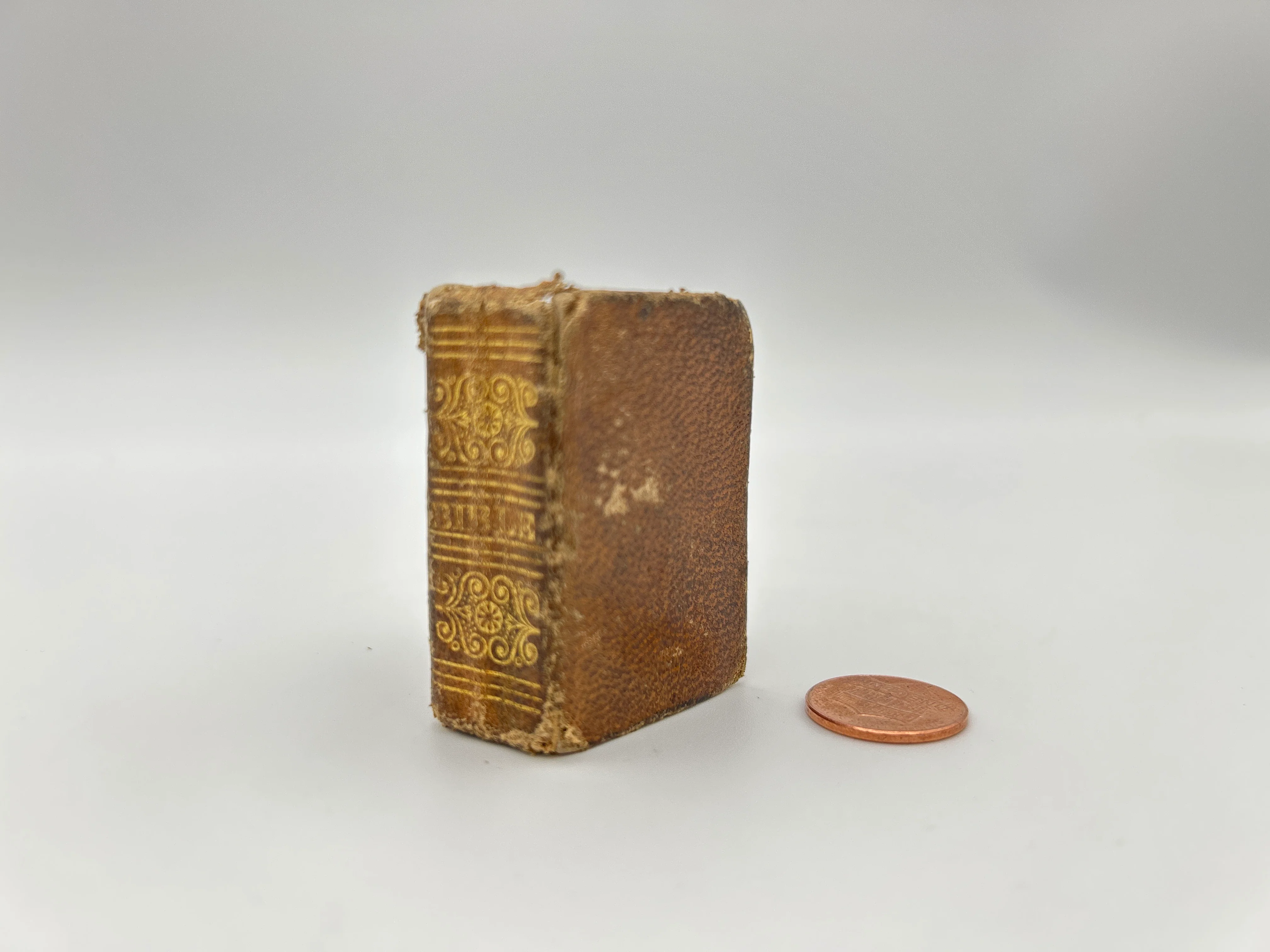 The History of the Bible