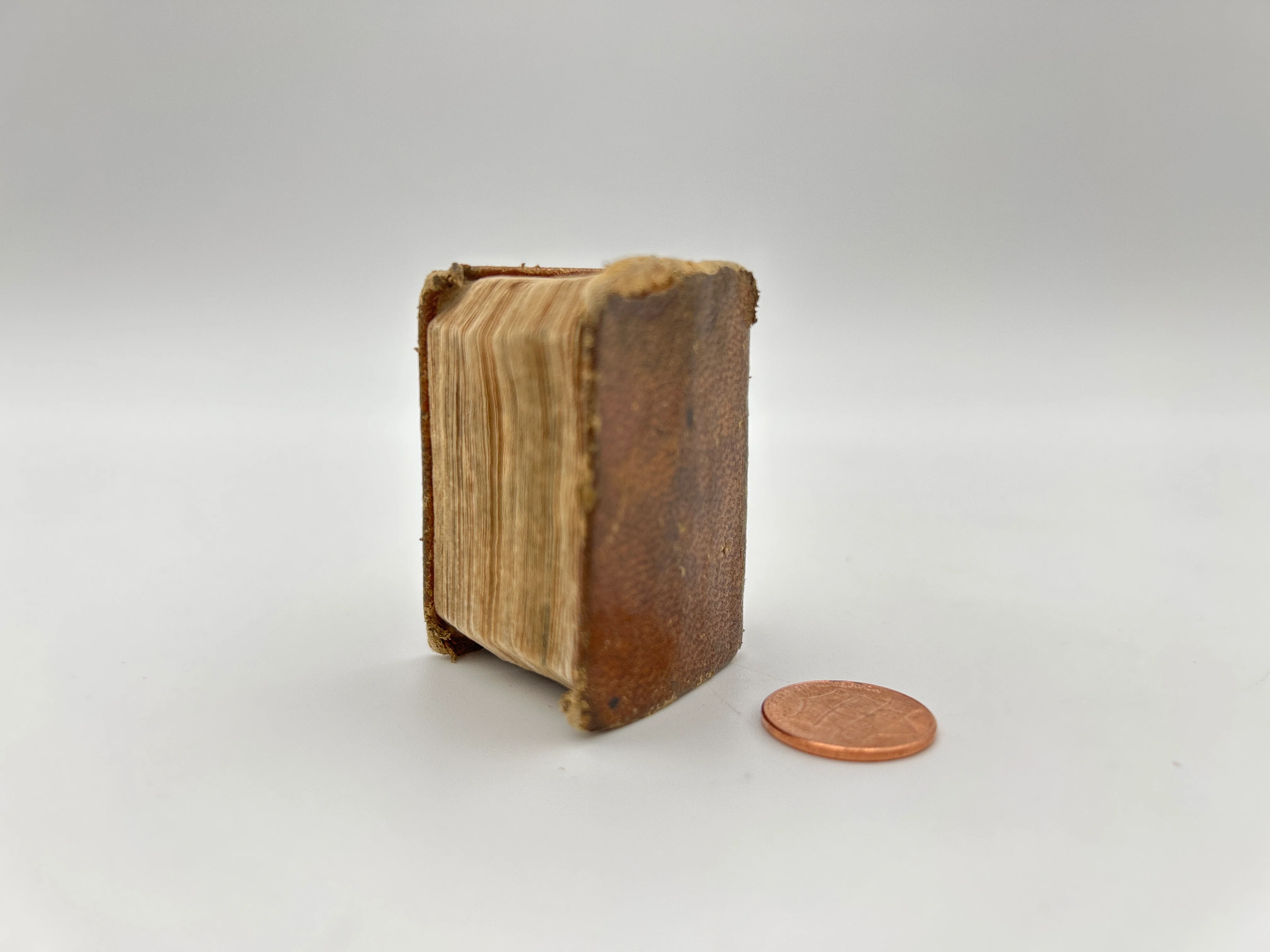 The History of the Bible - Image 2