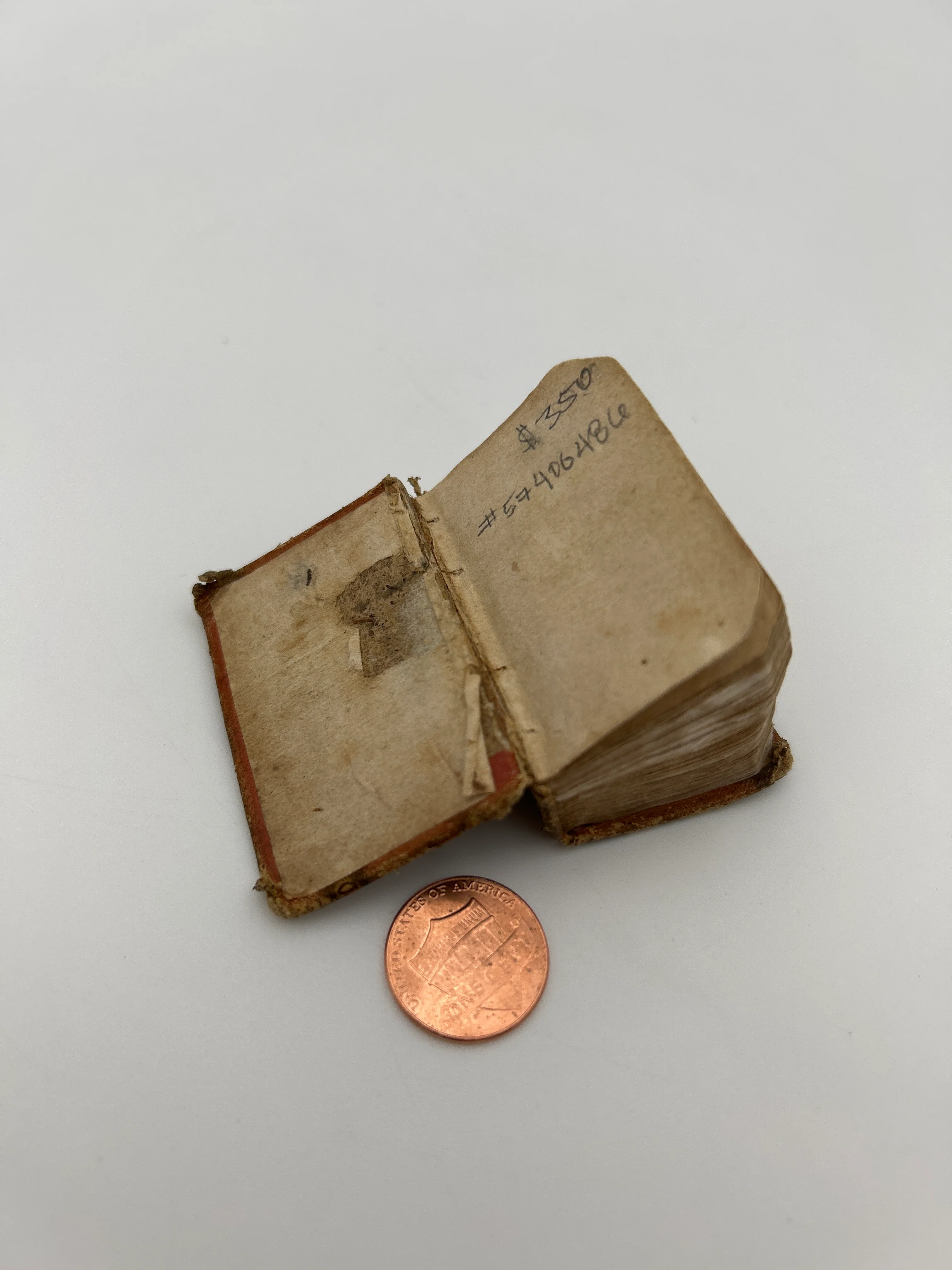 The History of the Bible - Image 7