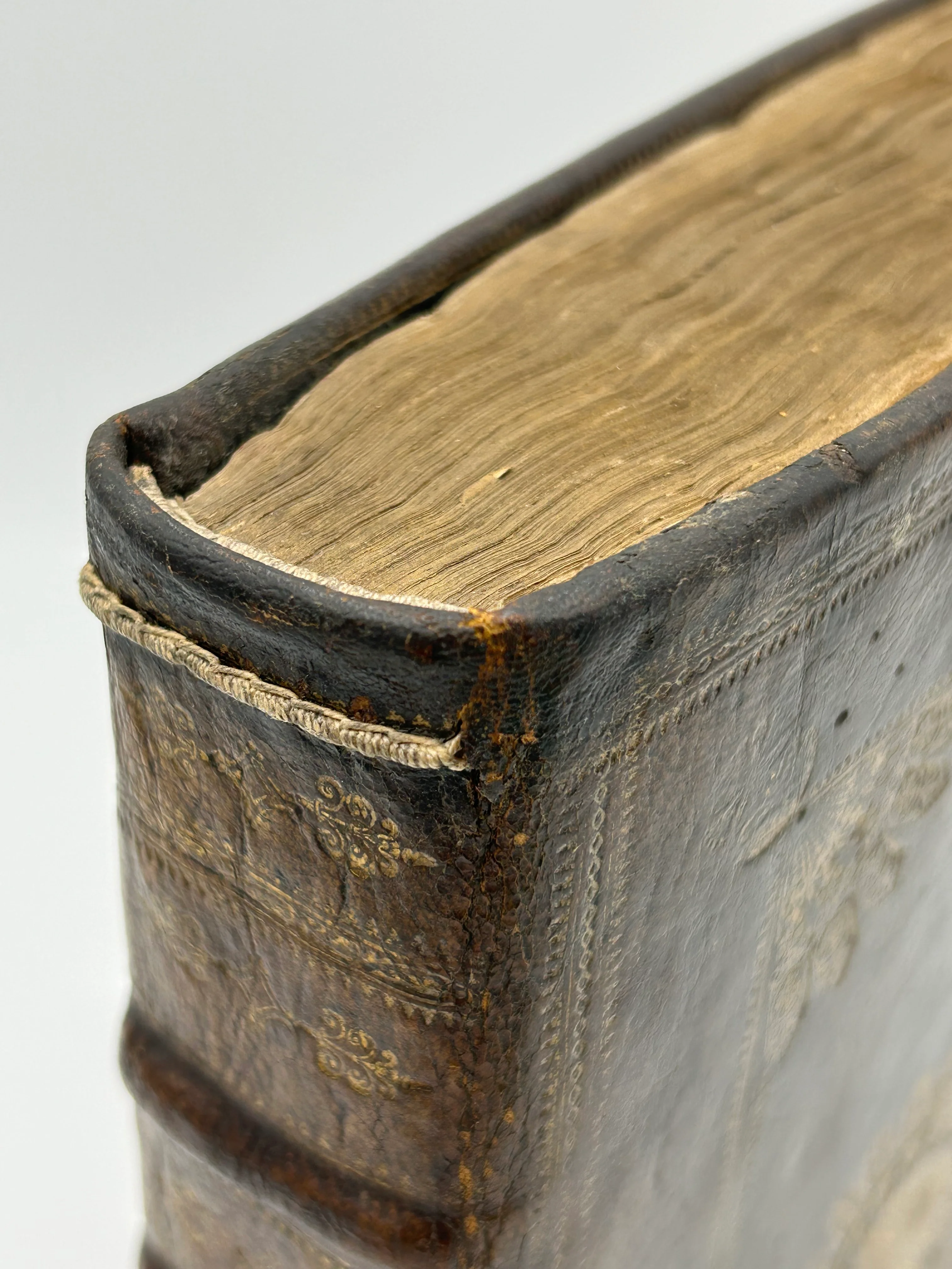 King James Bible 1629 - Image 3