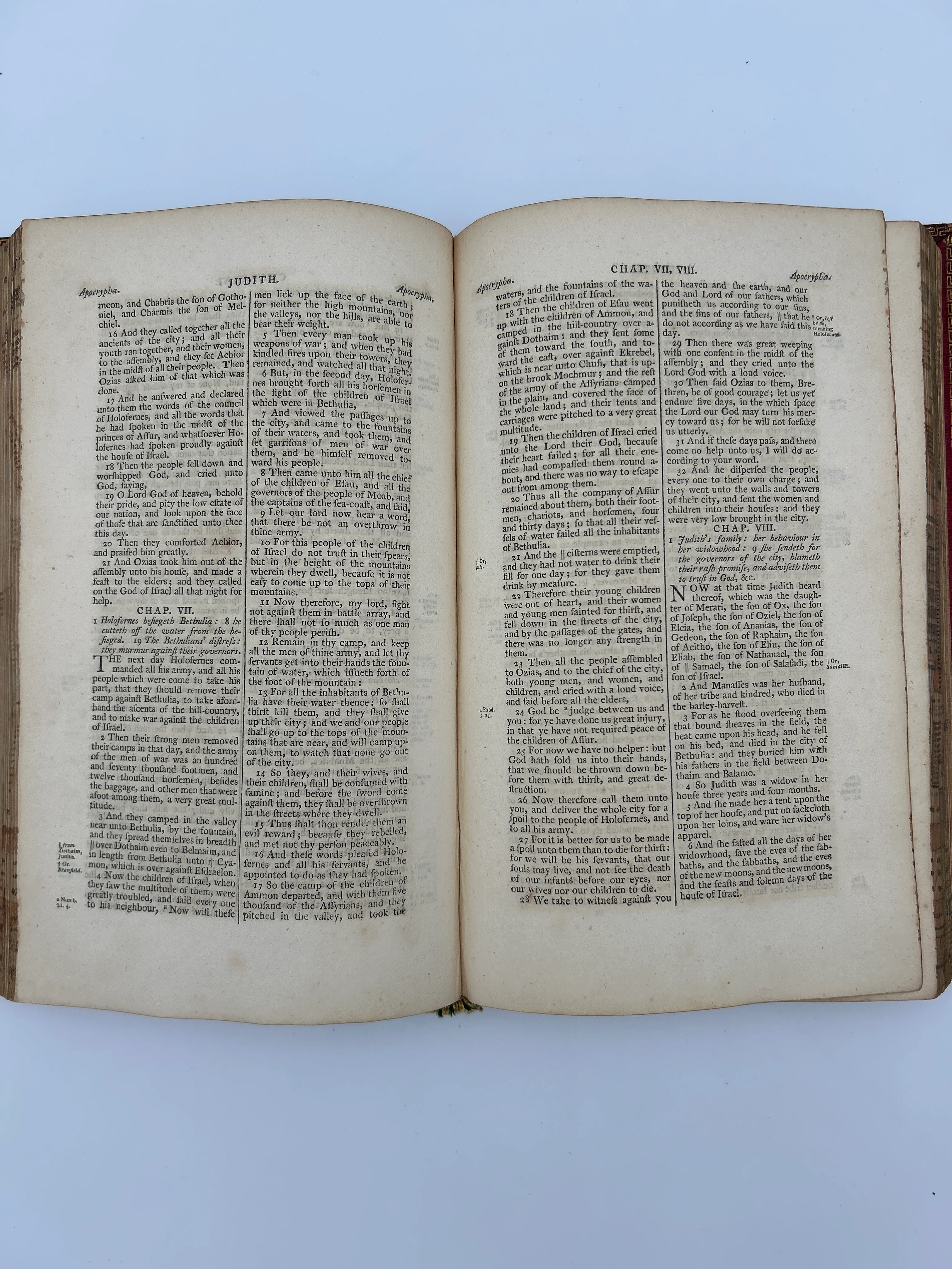 Holy Bible 1803 with Fore Edge Paintings - Image 10