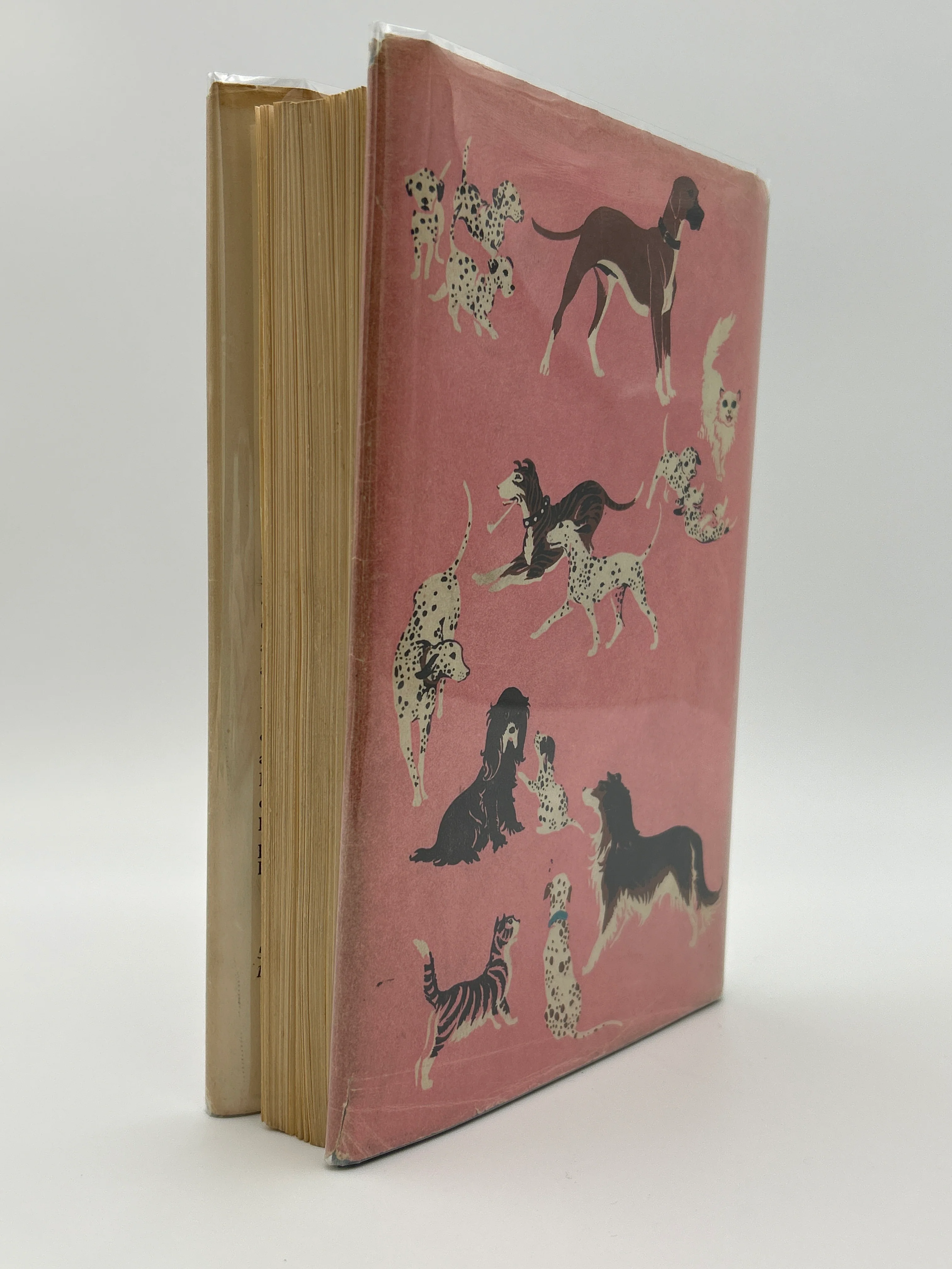 The Hundred and One Dalmatians - Image 3