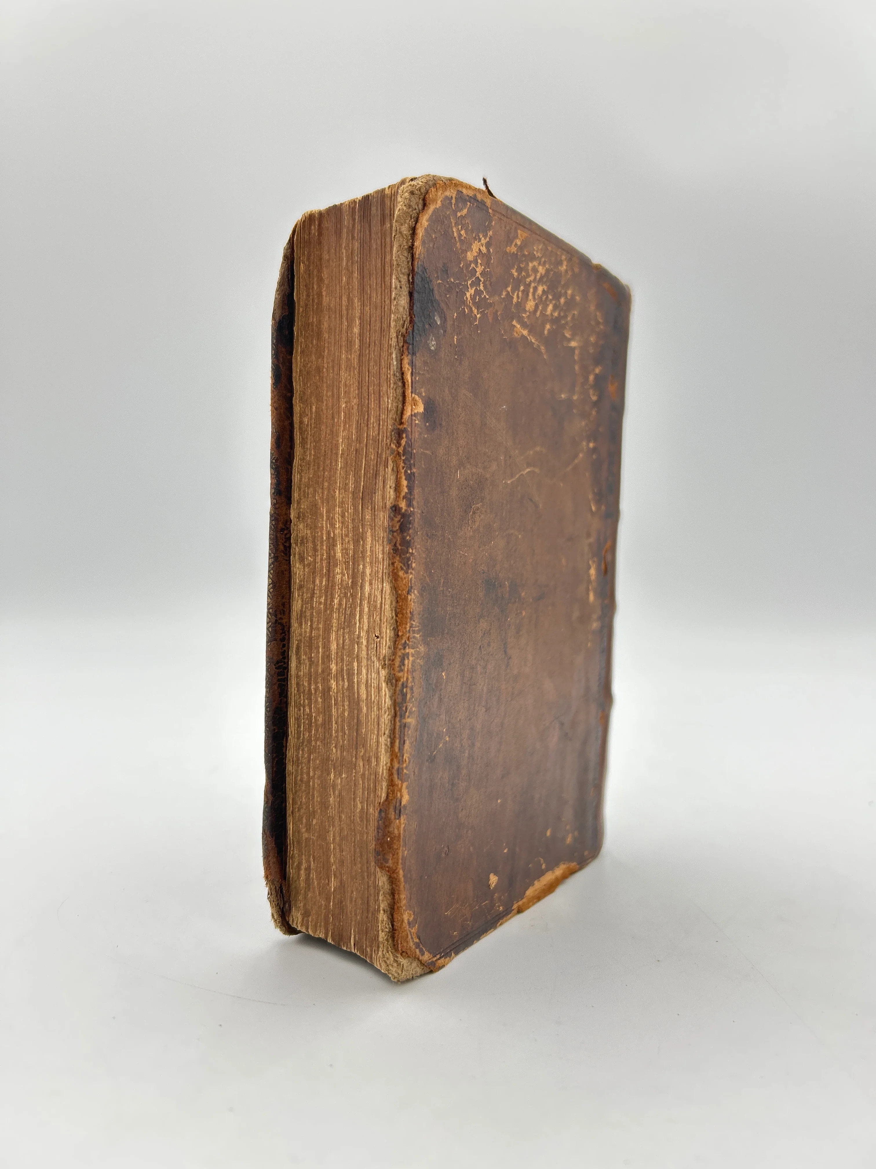 The Iliad - Image 7