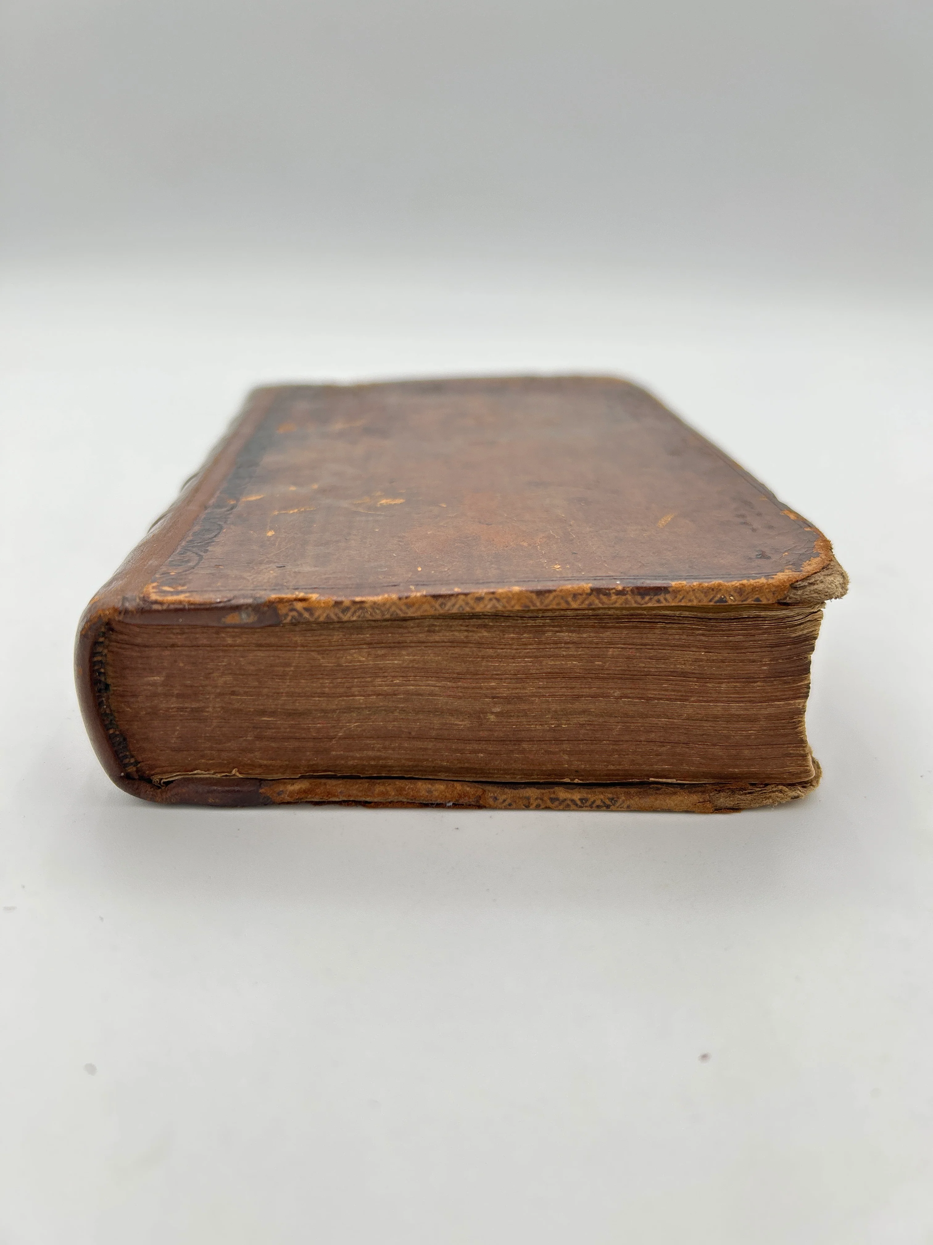 The Iliad - Image 8
