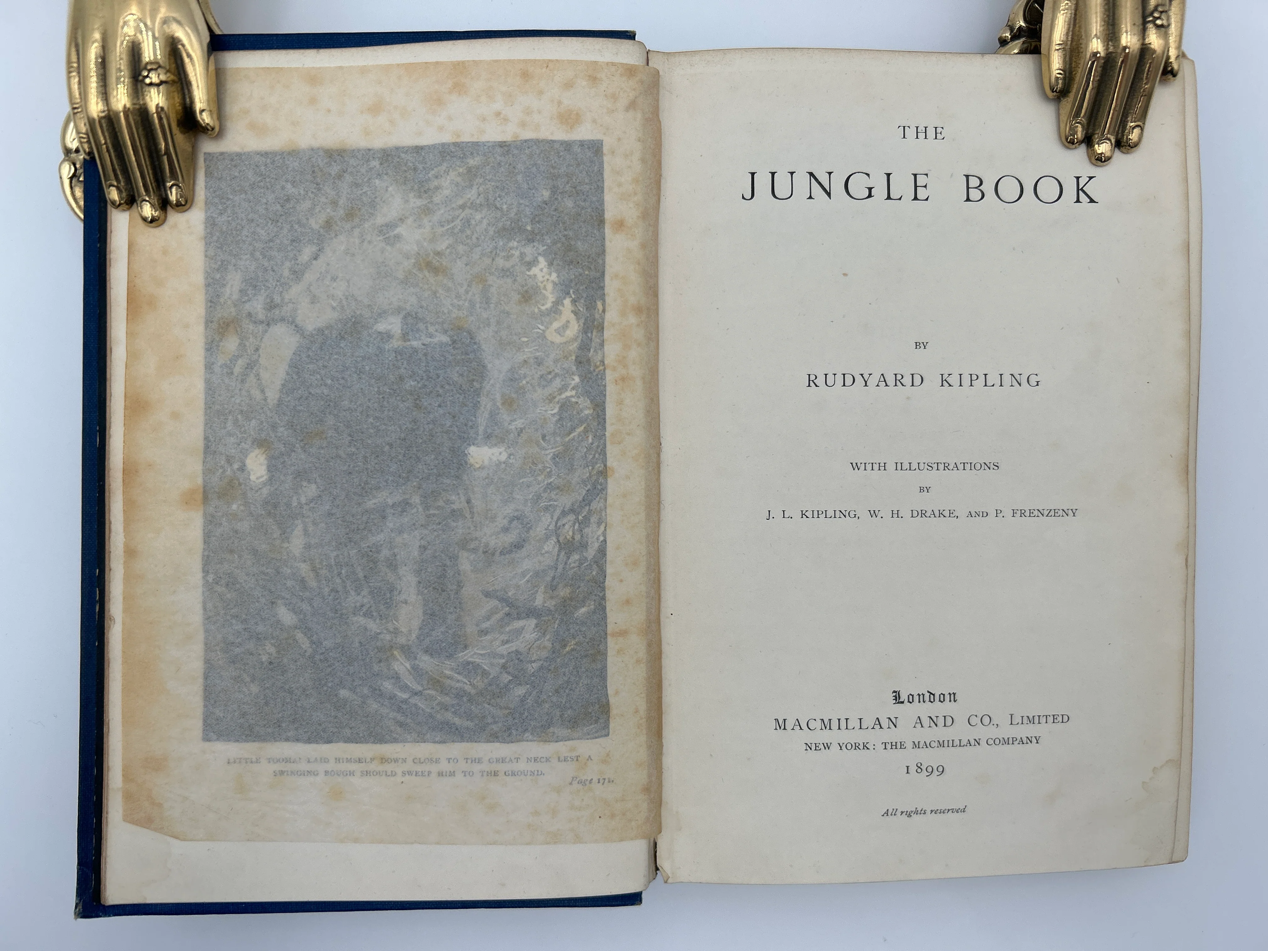 The Jungle Book; 2 Volume Set - Image 4