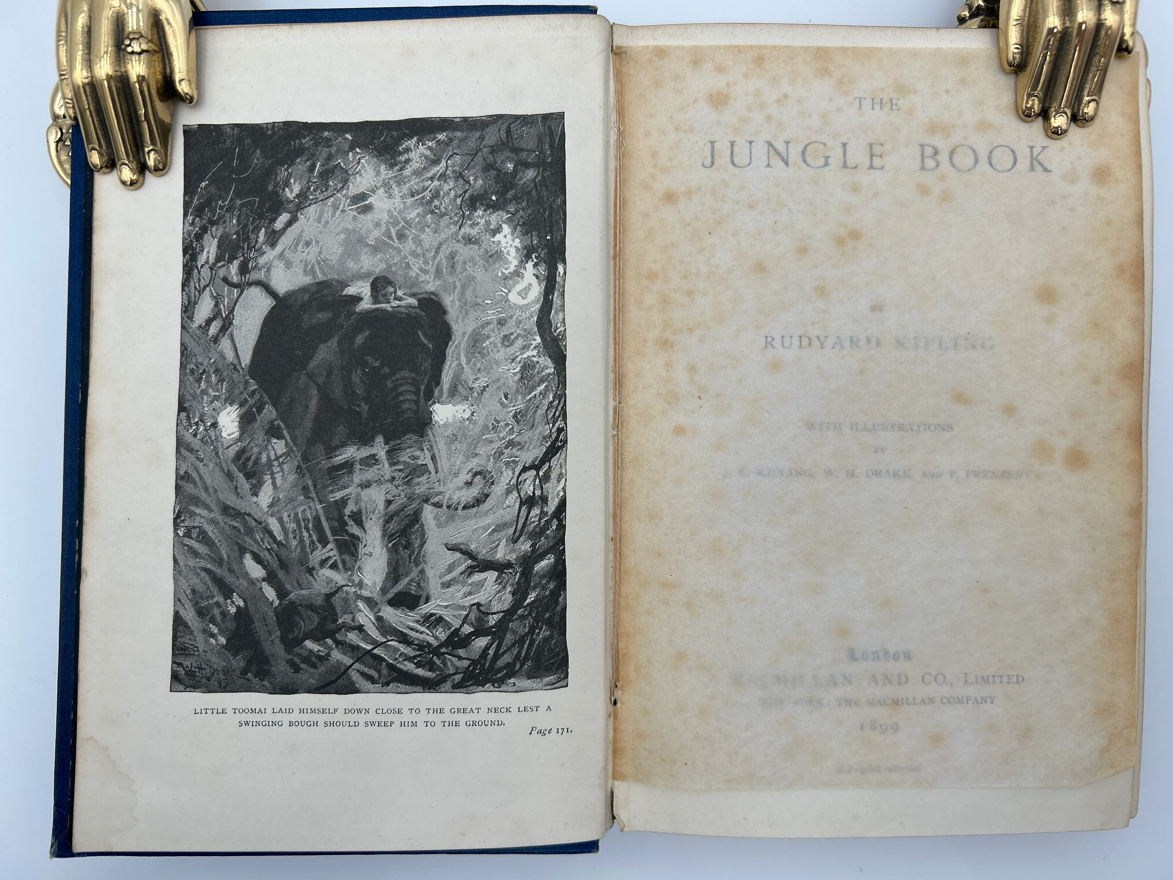 The Jungle Book; 2 Volume Set - Image 5