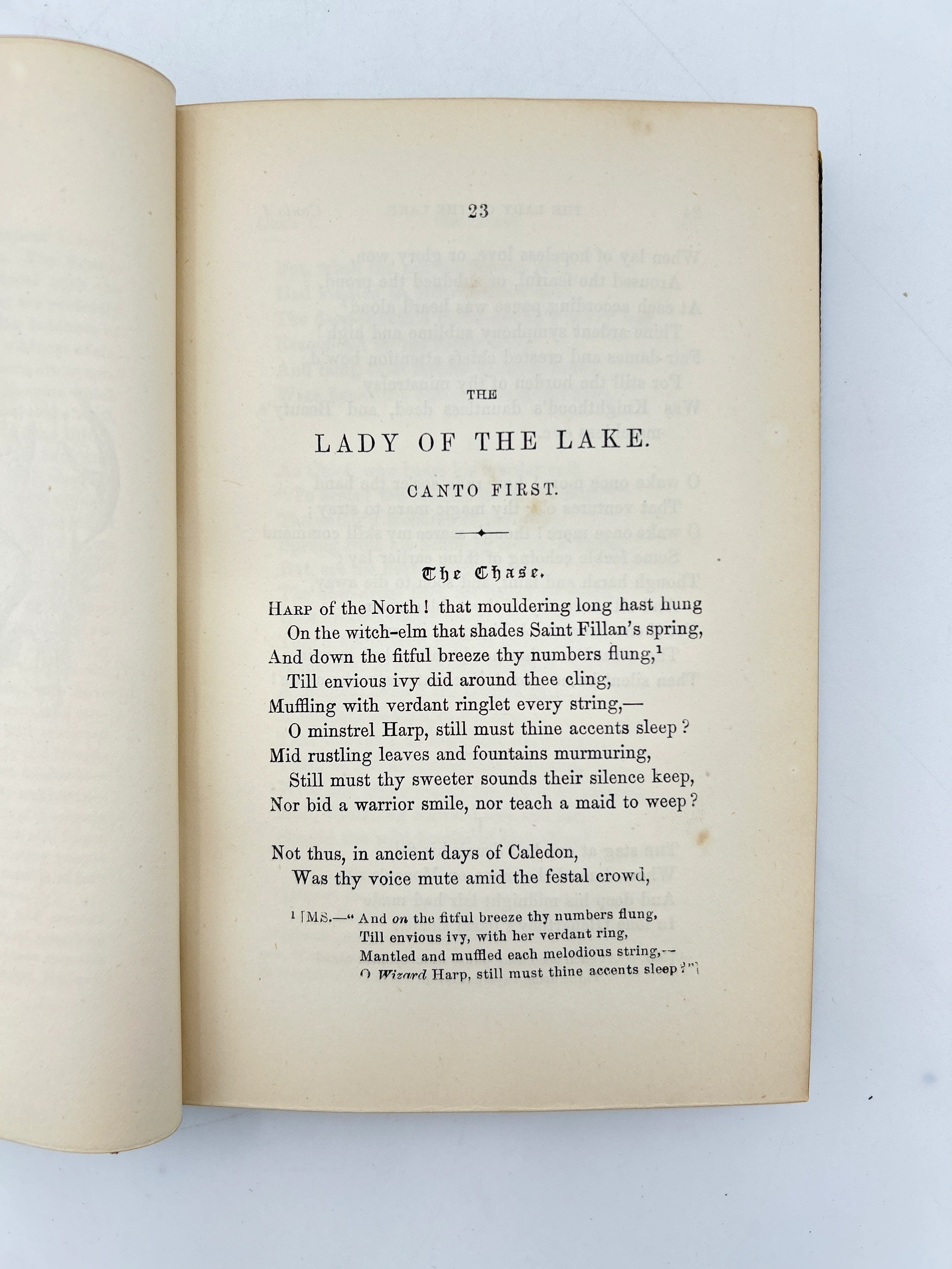 The Lady of the Lake - Image 5