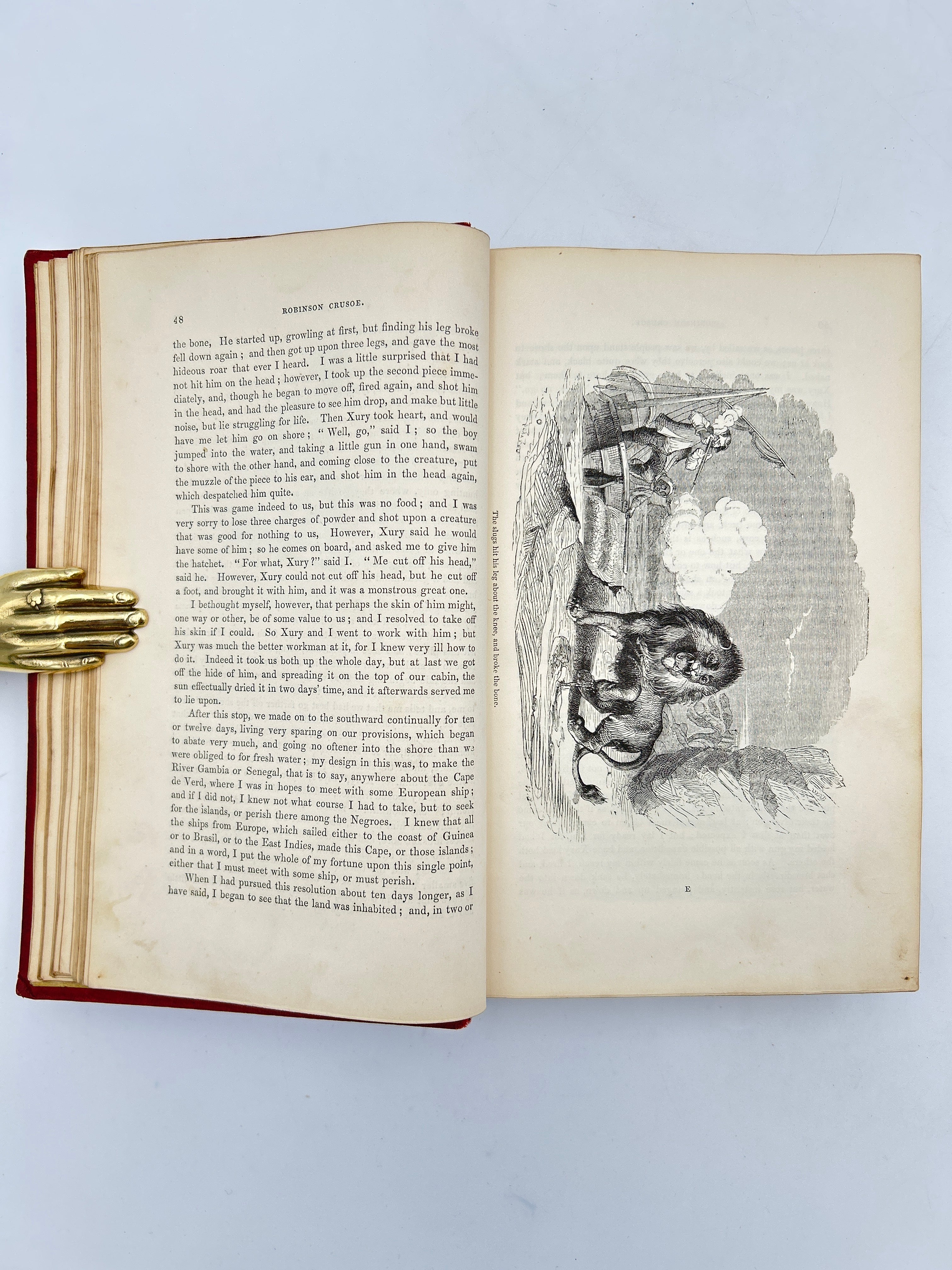 The LIfe Adventures of Robinson Crusoe - Image 4