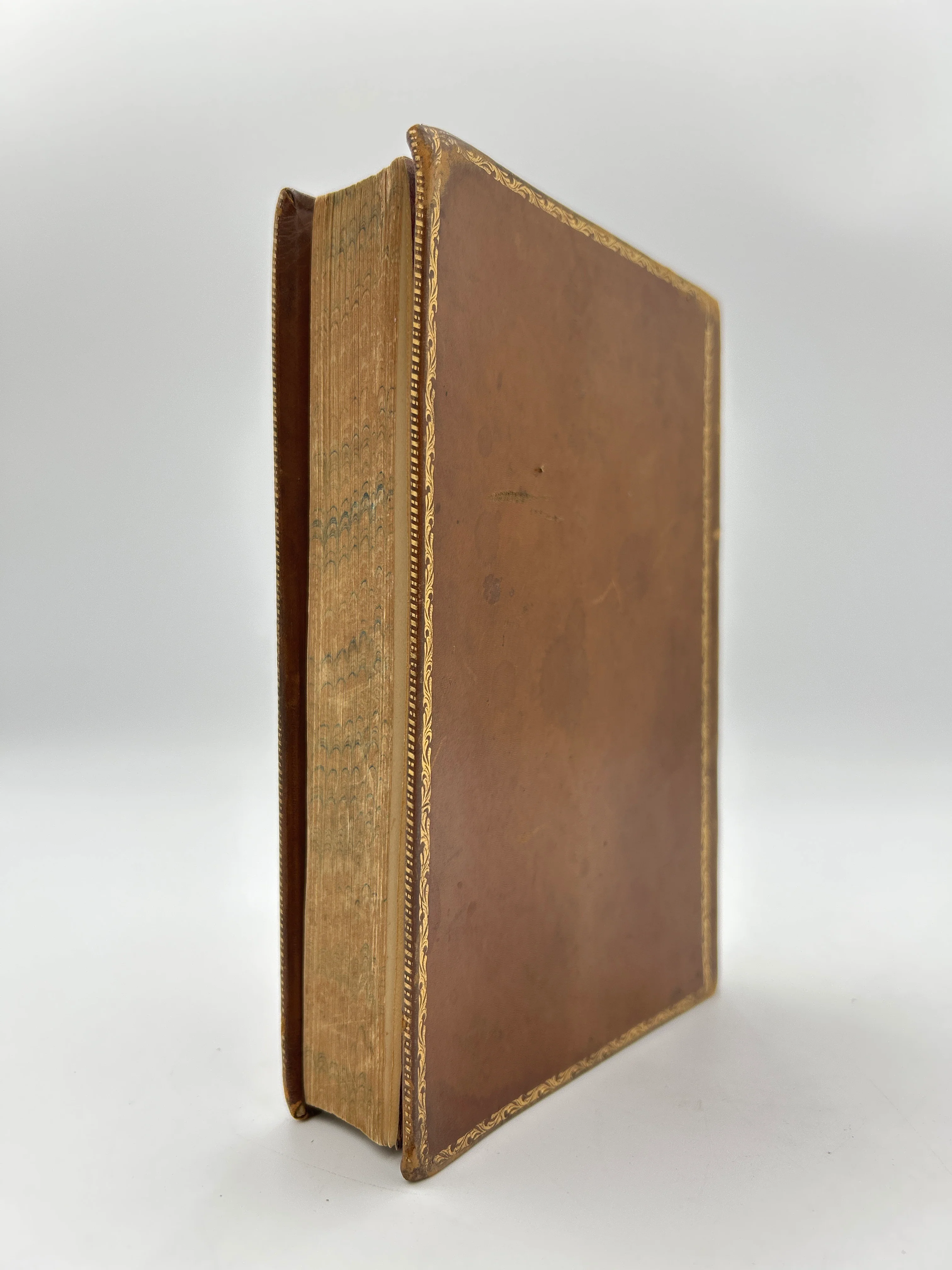 The Life and Explorations of David Livingstone - Image 3
