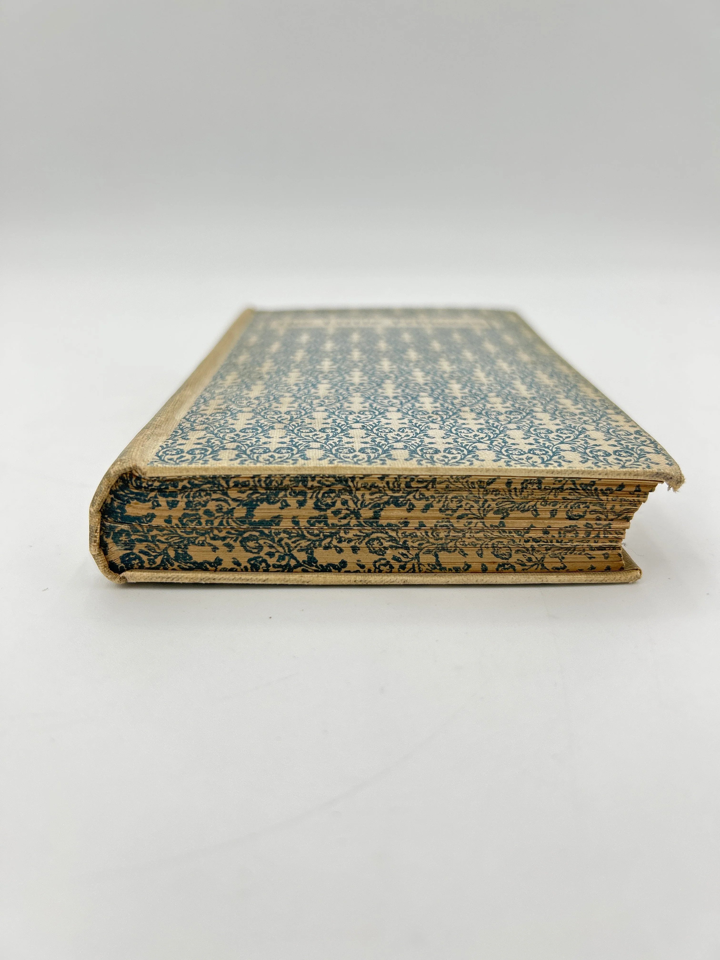 The Little Princess - Image 6
