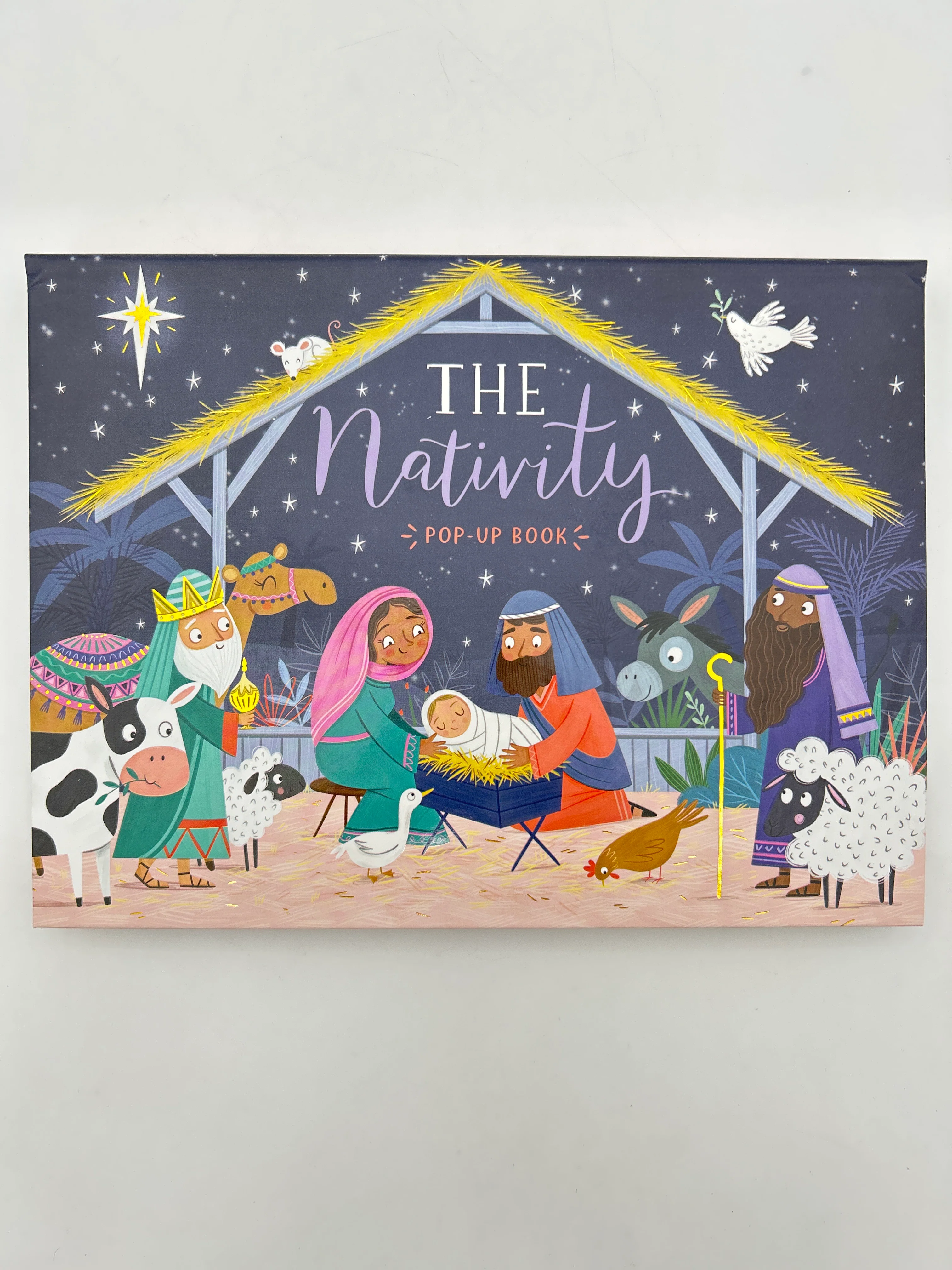 The Nativity Pop-Up Book