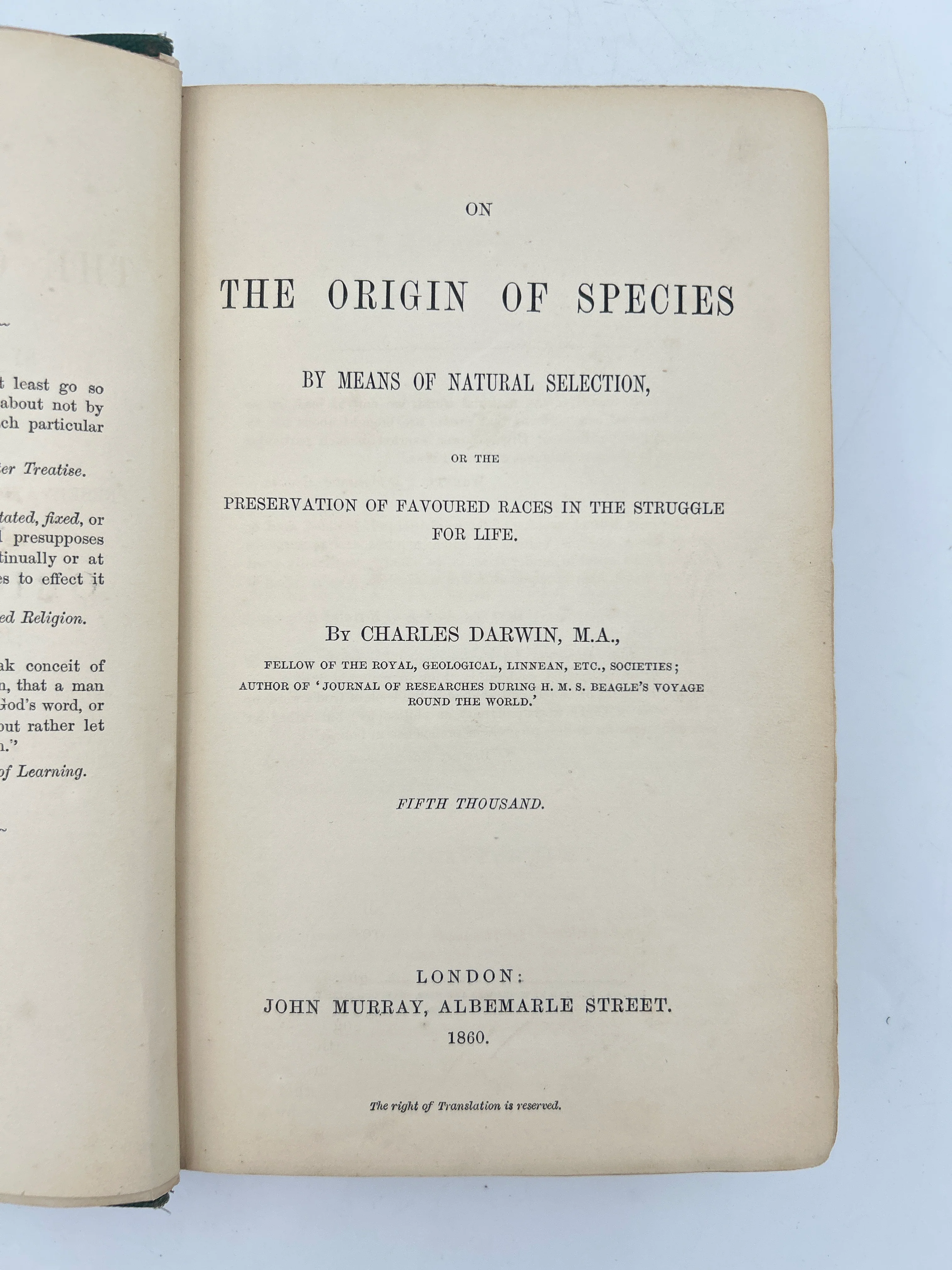 The Origin of the Species - Image 2