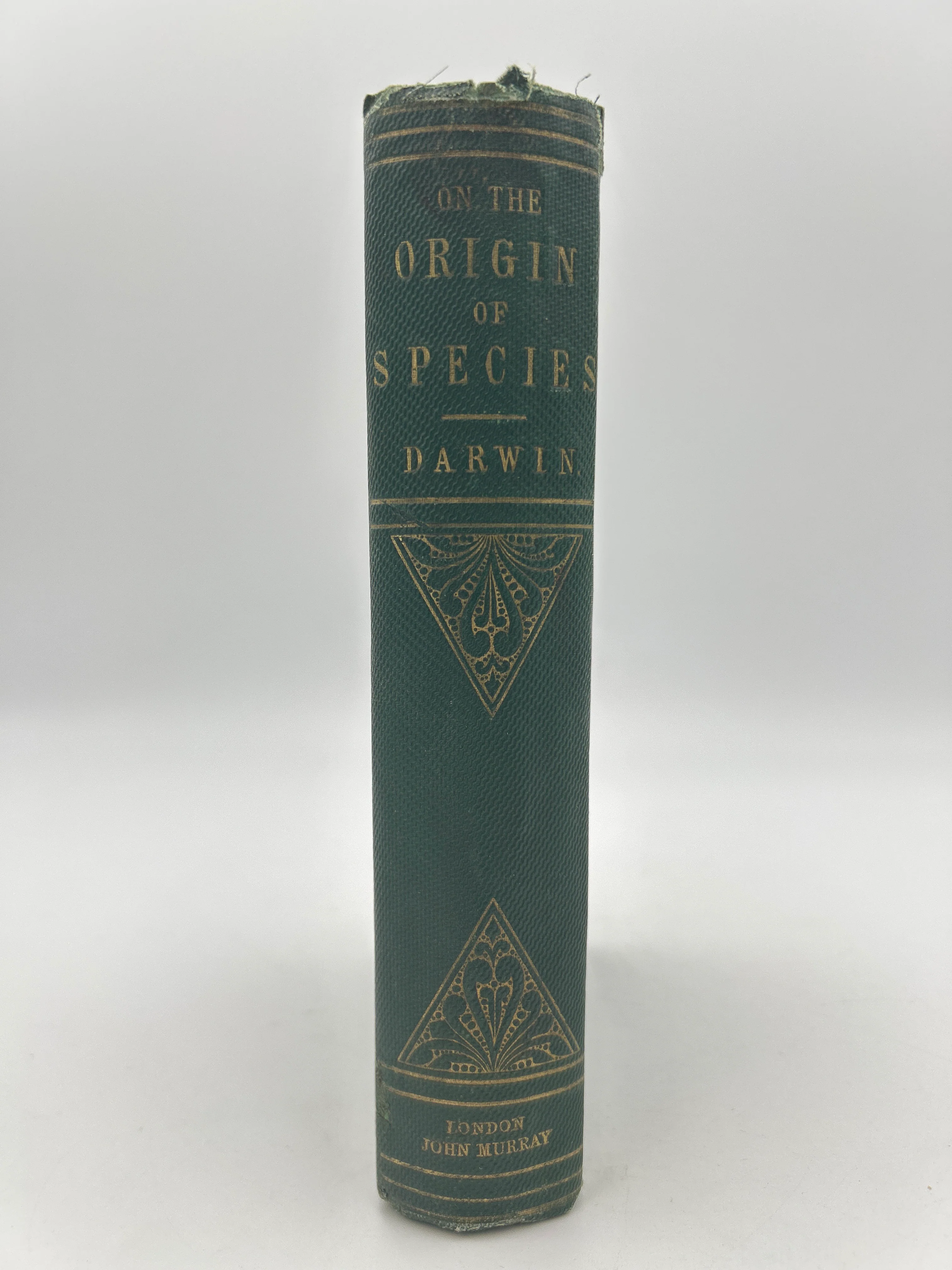 The Origin of the Species - Image 8