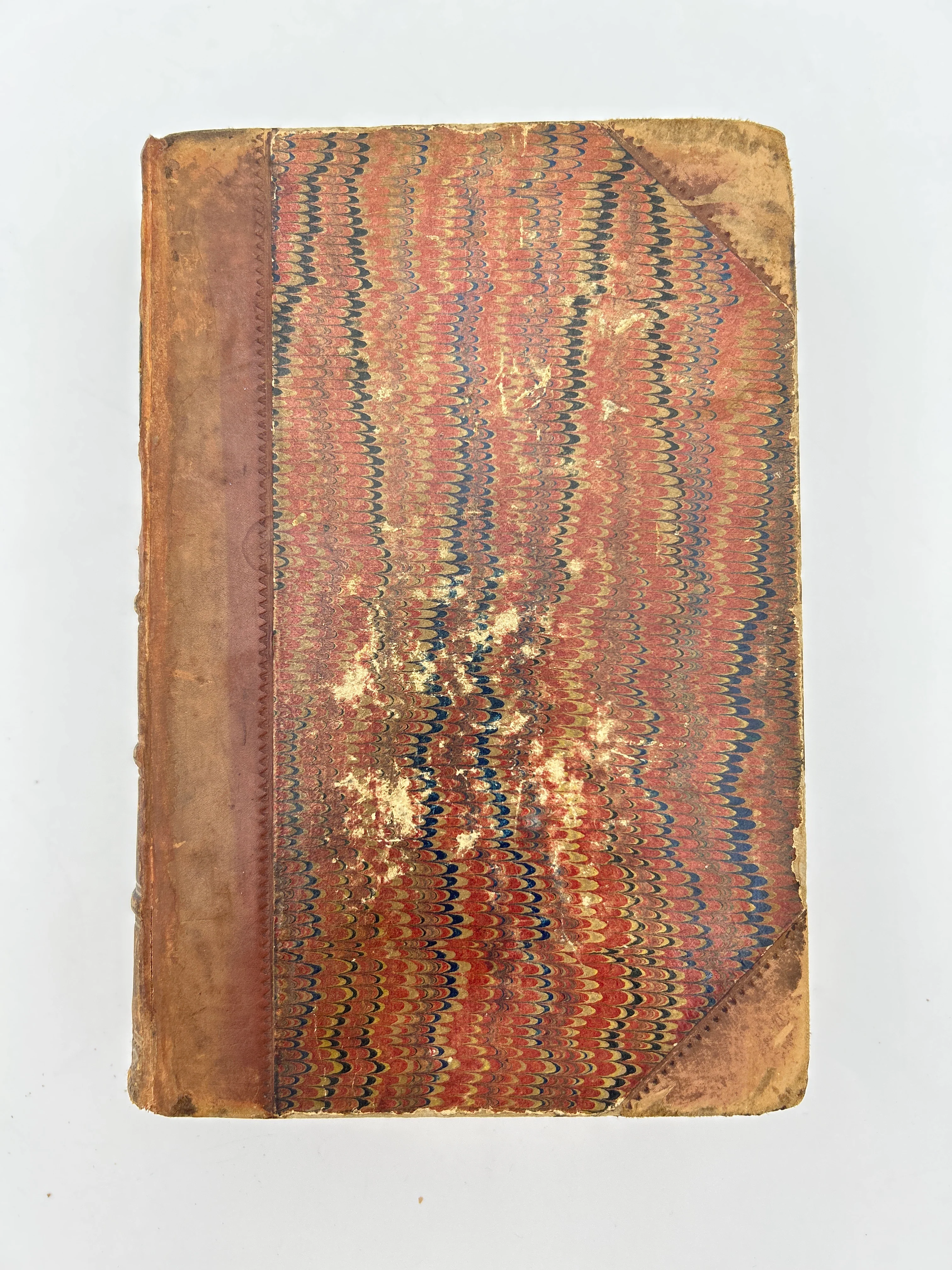 The Origin of the Species - Image 7