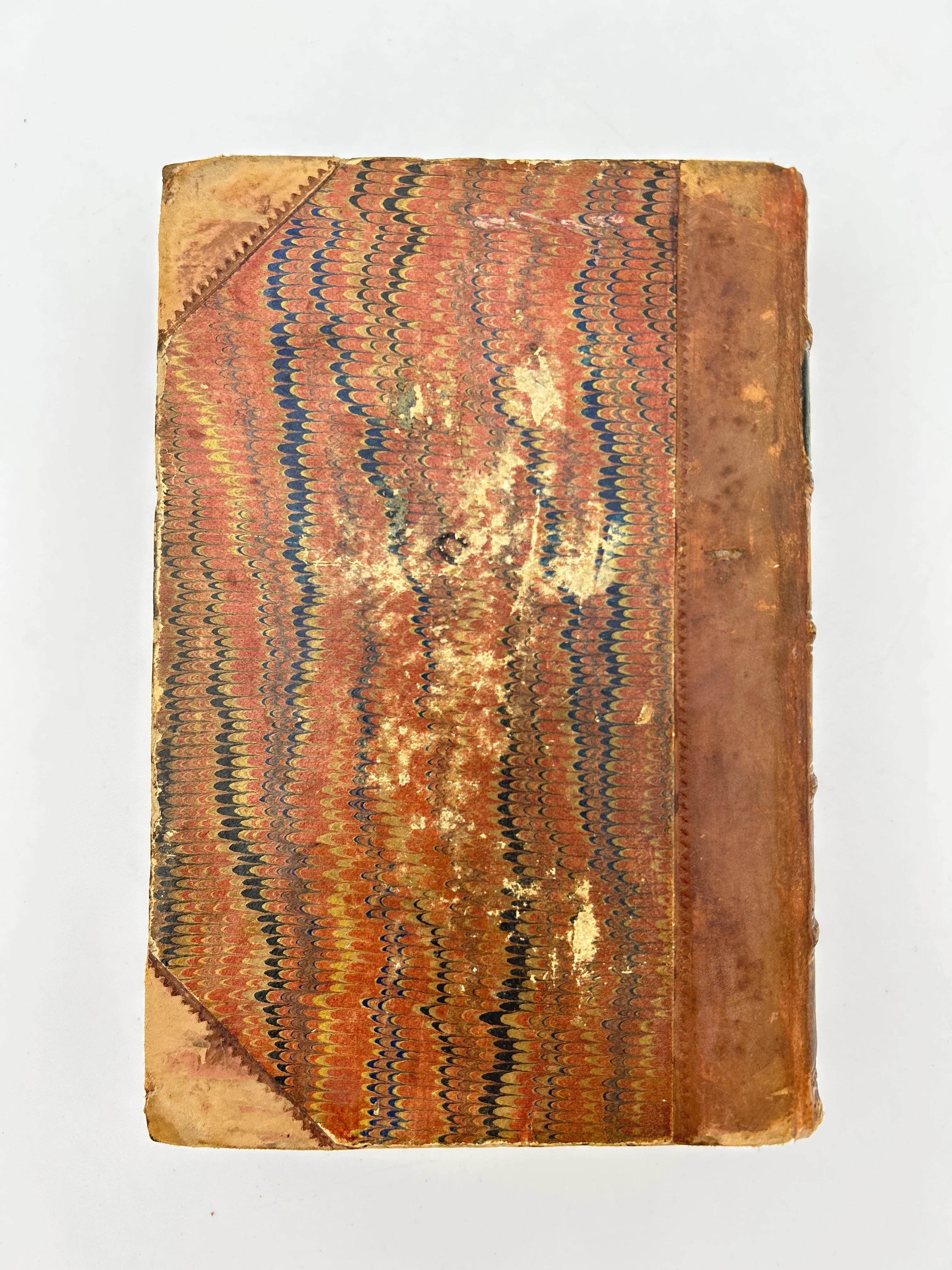 The Origin of the Species - Image 8