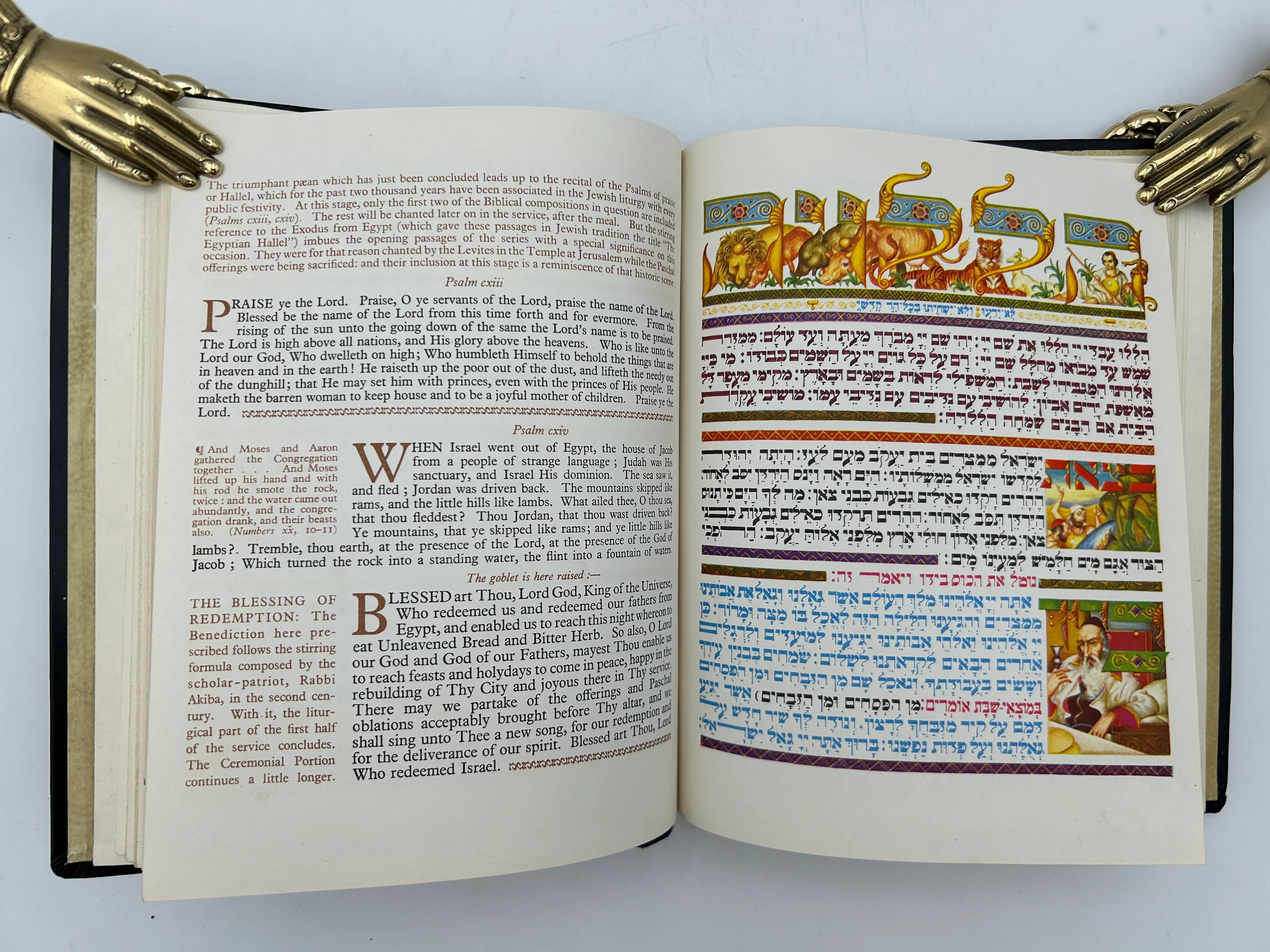 The Haggadah 2009 - Image 4