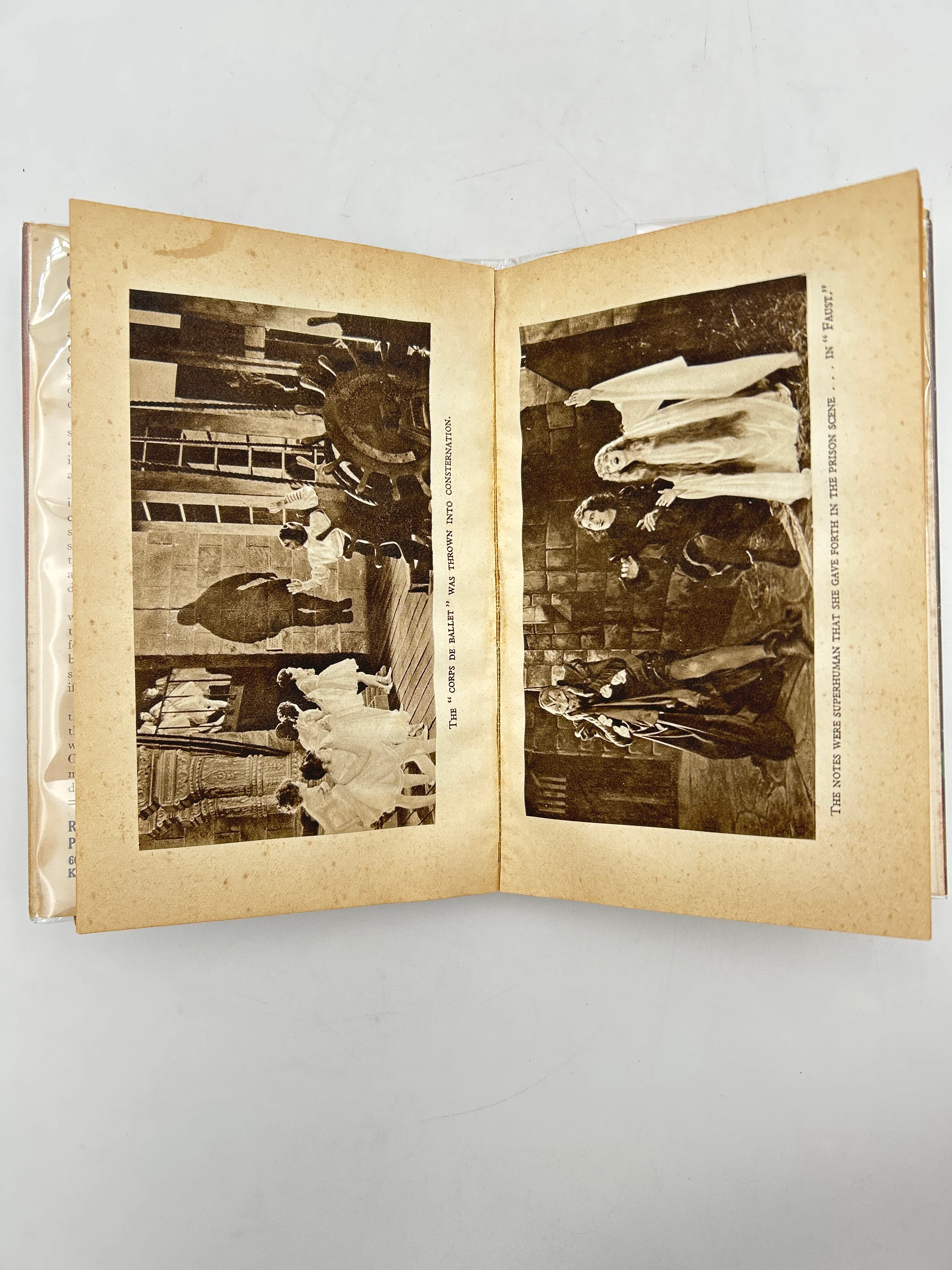 The Phantom of the Opera Illustrated Edition - Image 4