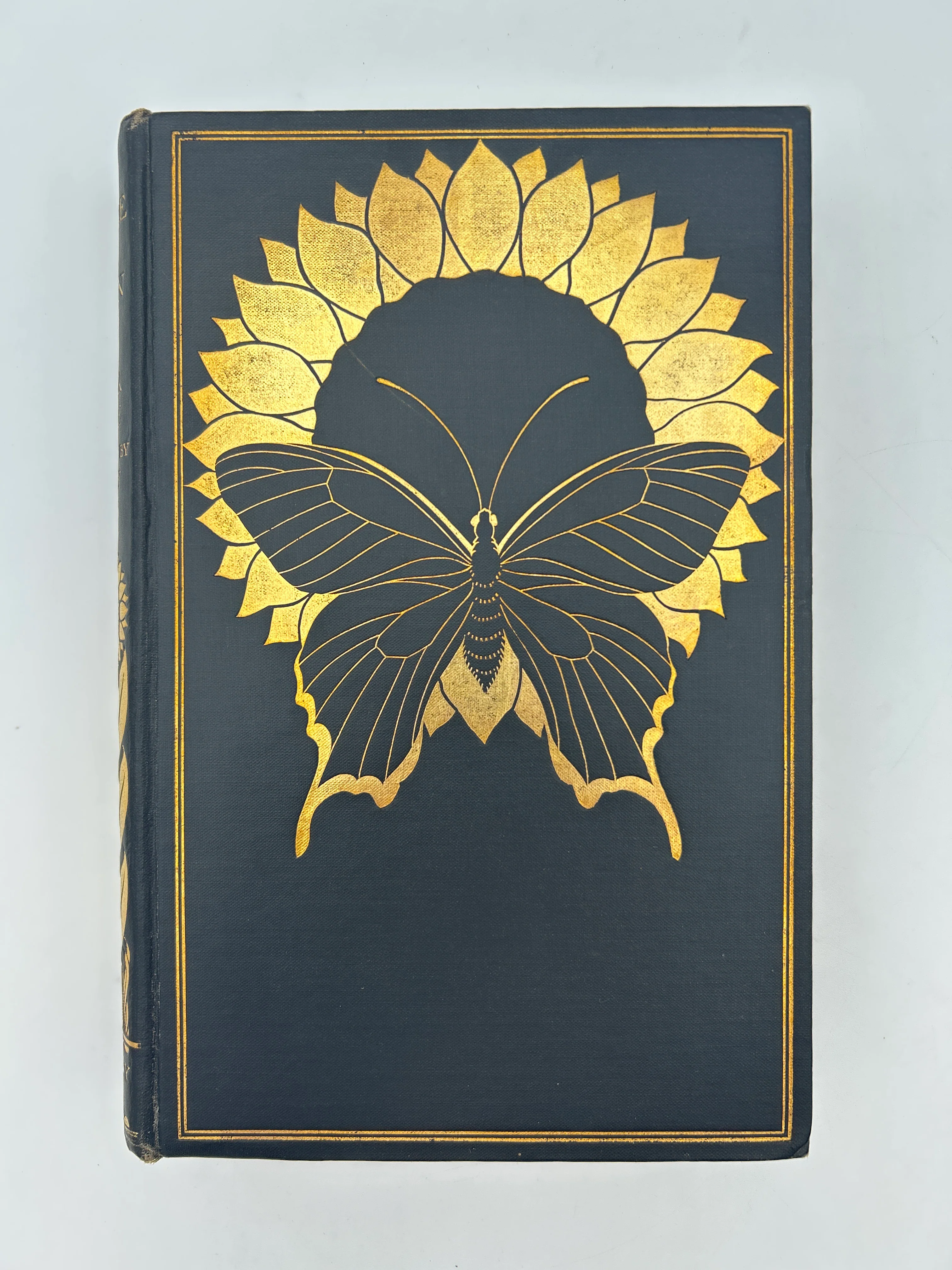 The Picture of Dorian Gray - Image 8