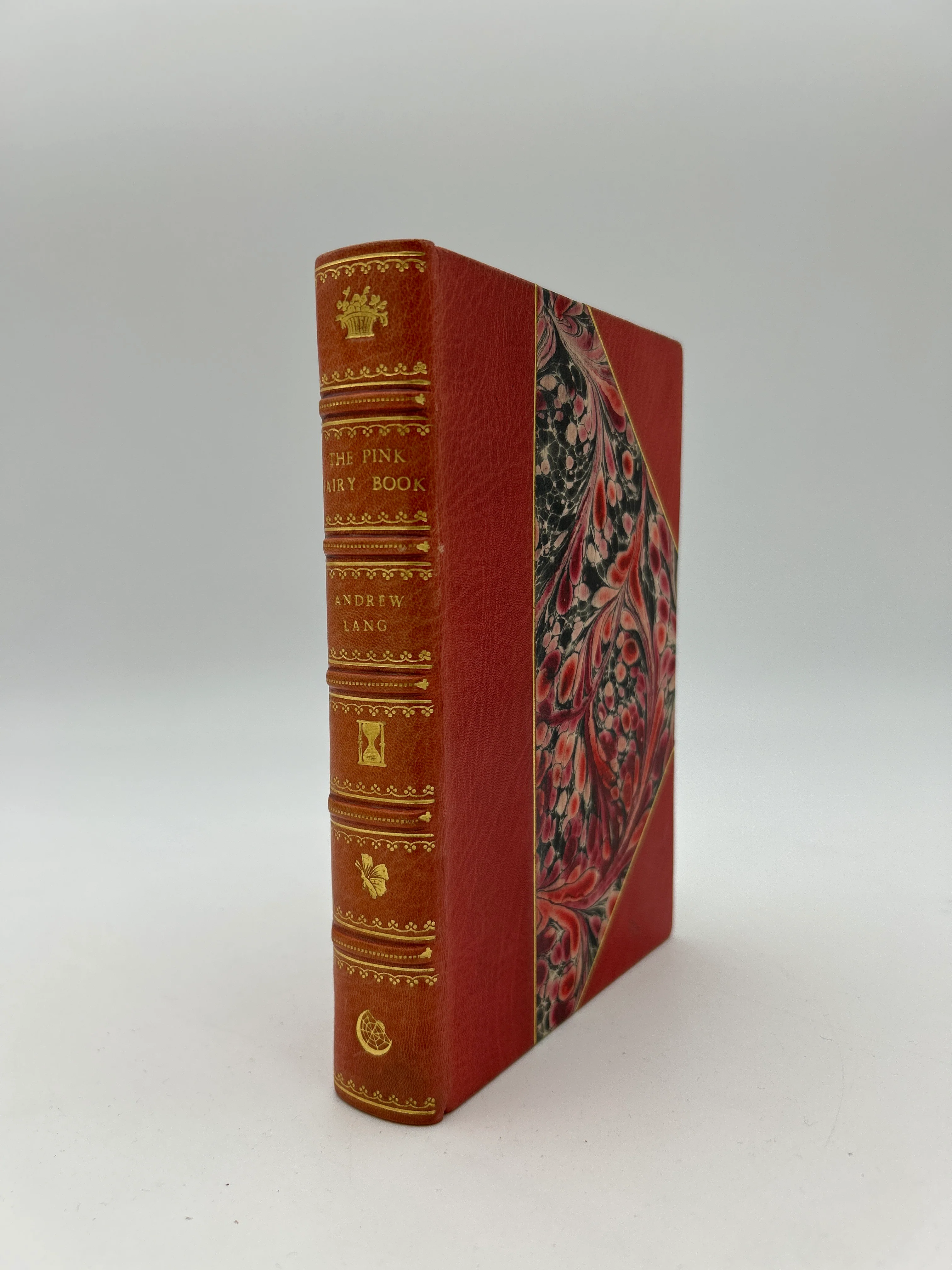 The Pink Fairy Book