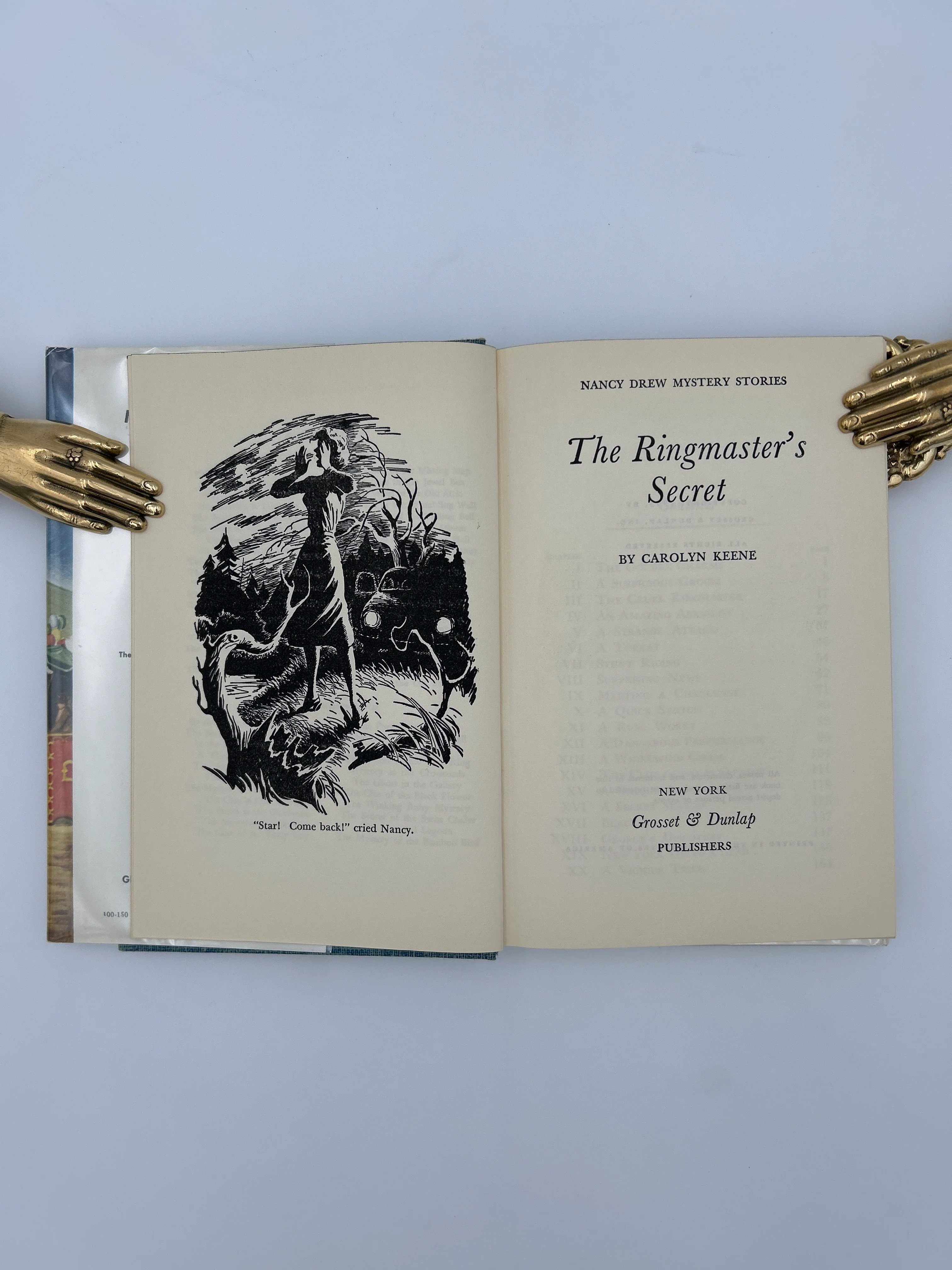 The Ringmaster's Secret - Image 4