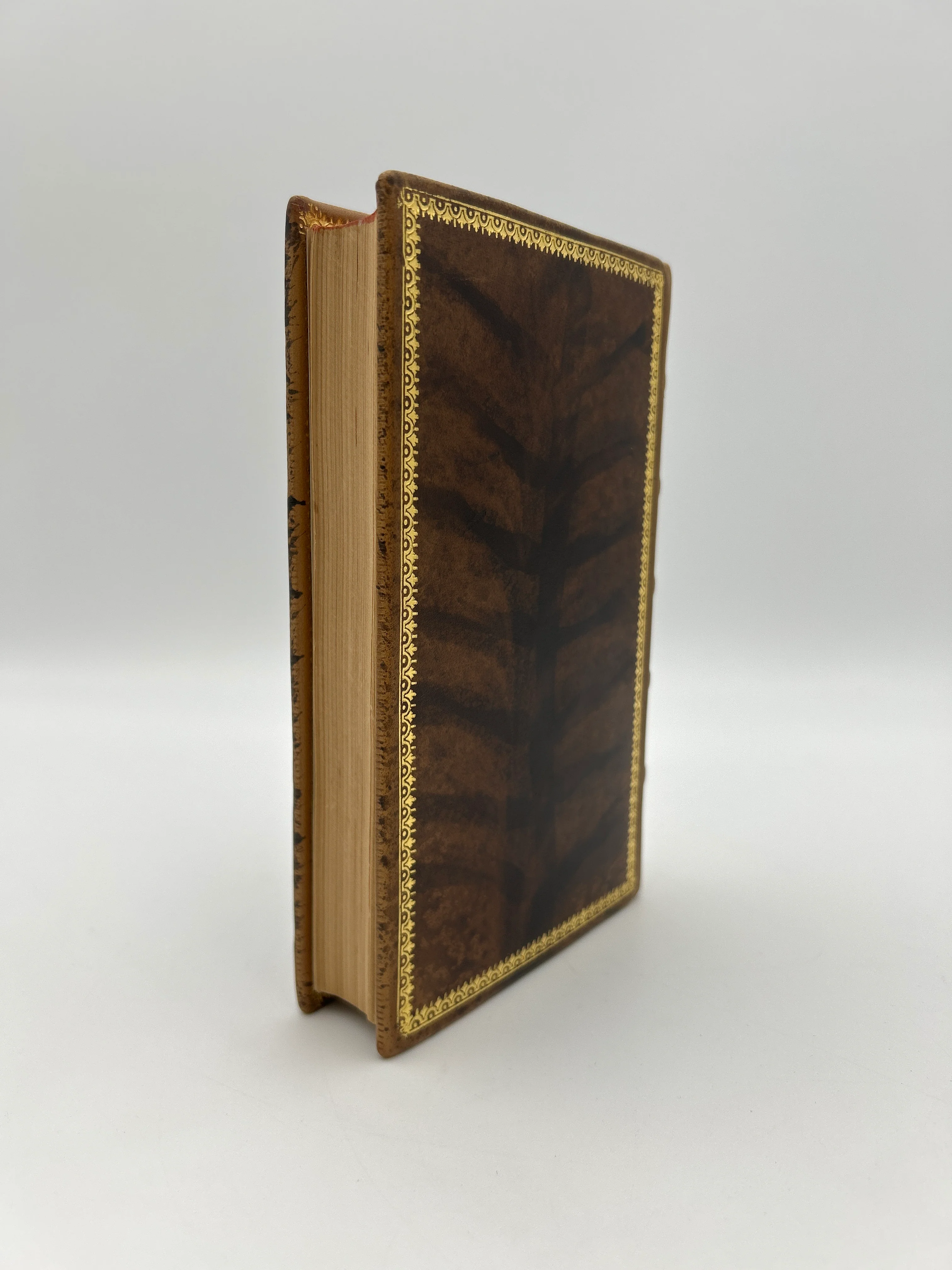 The Scarlet Letter - Image 2