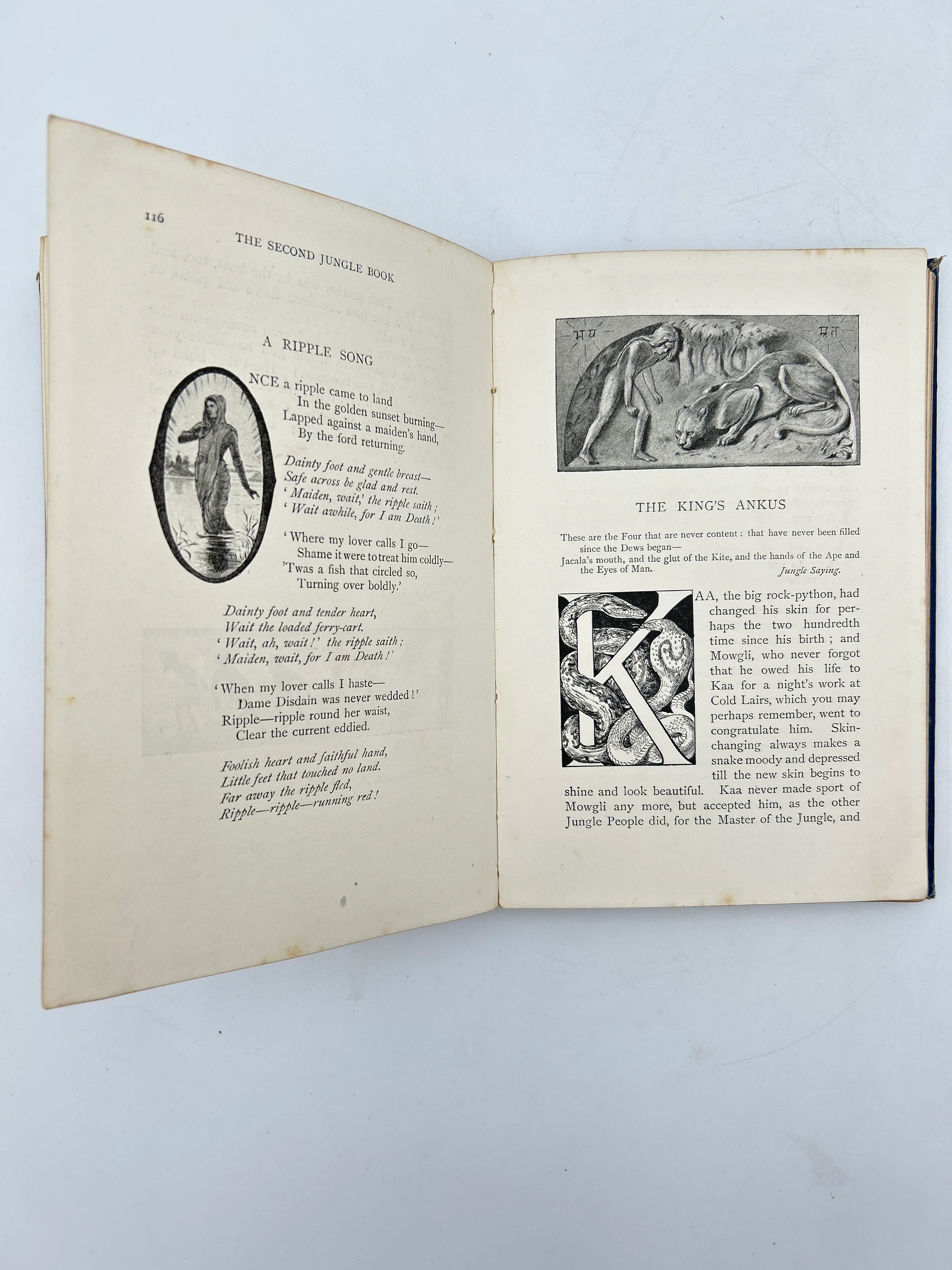 The Second Jungle Book - Image 3