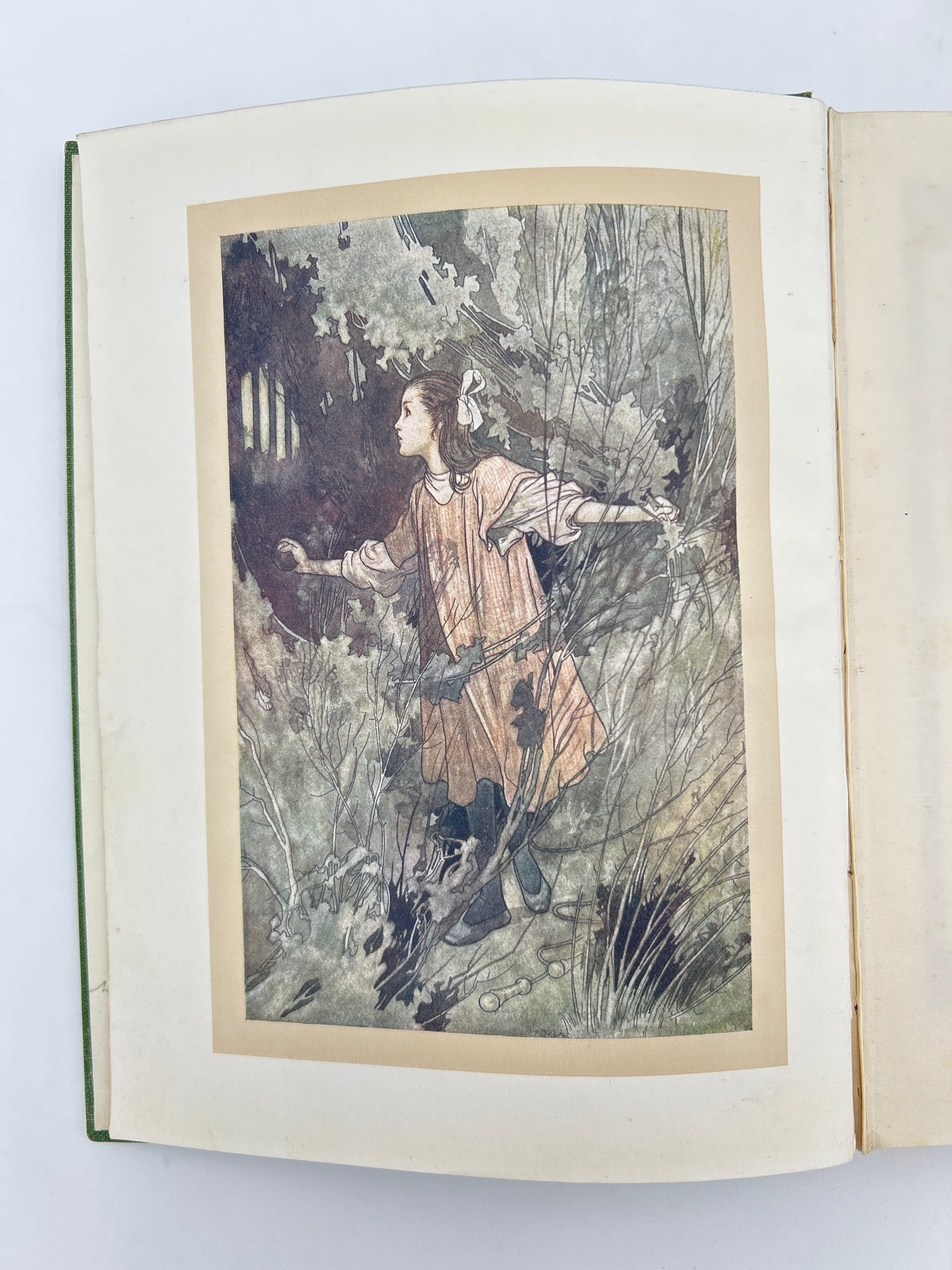 The Secret Garden - Image 3