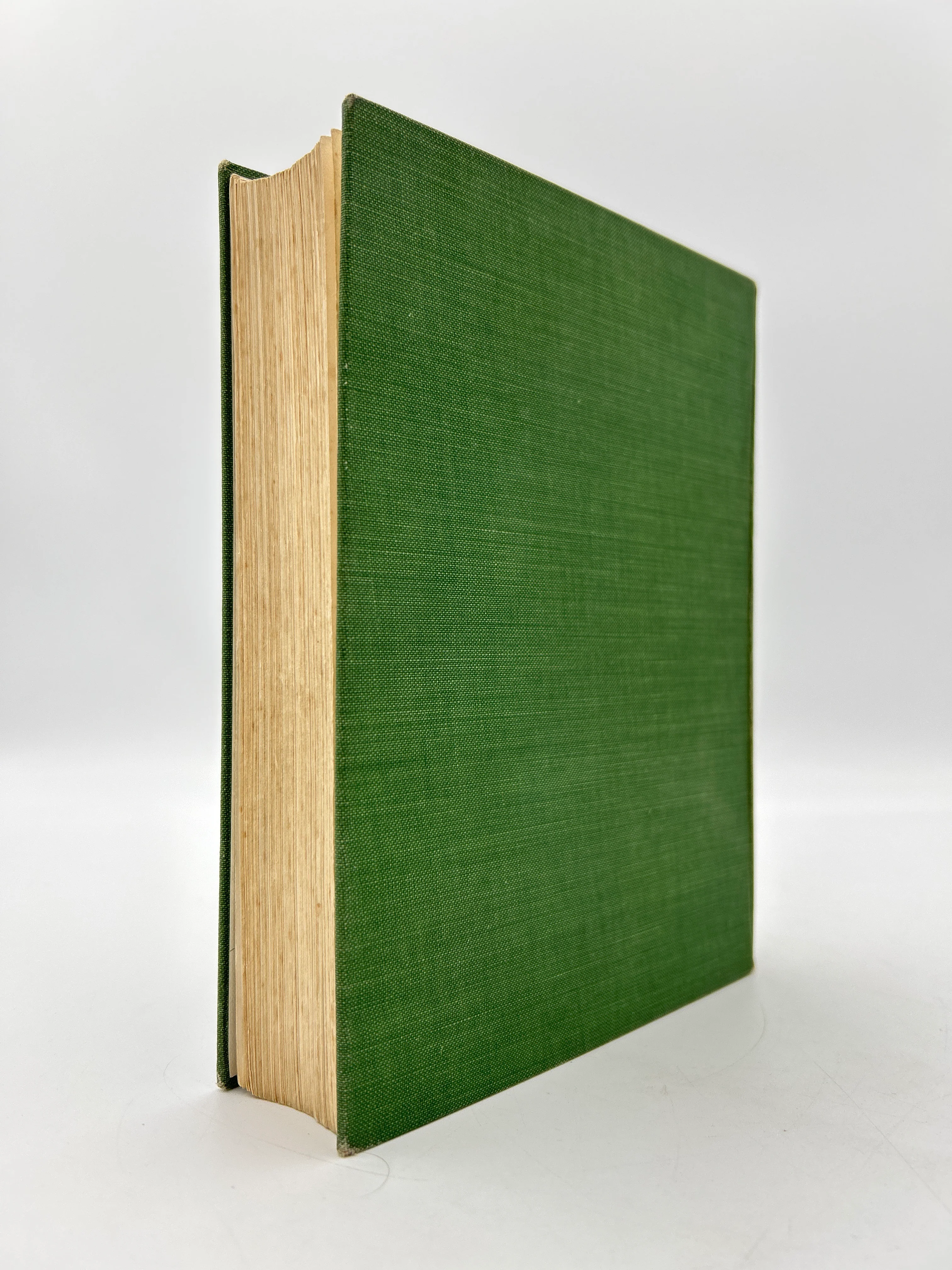 The Secret Garden - Image 6