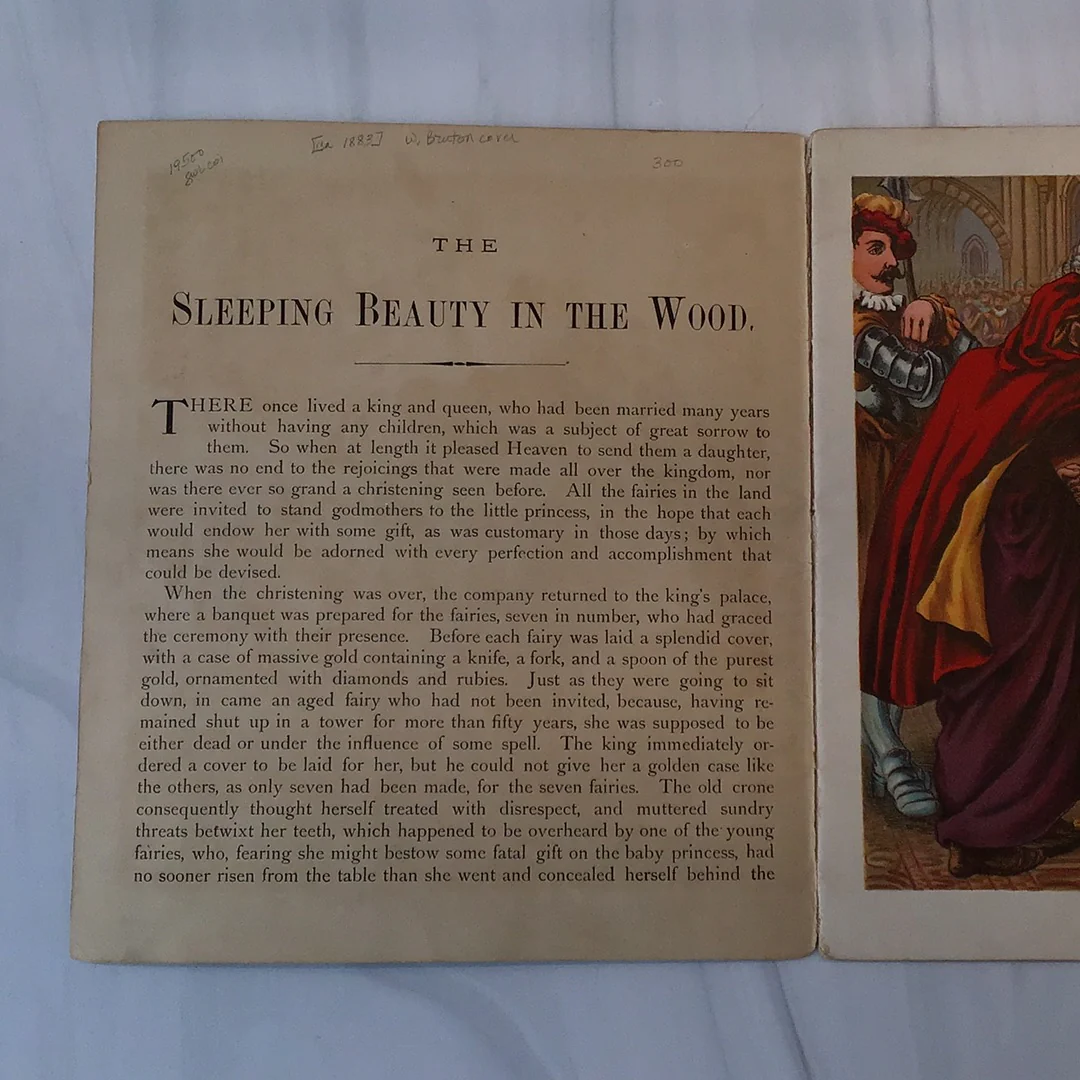 -The Sleeping Beauty* - Image 2