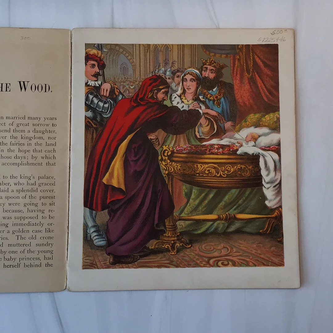 -The Sleeping Beauty* - Image 3