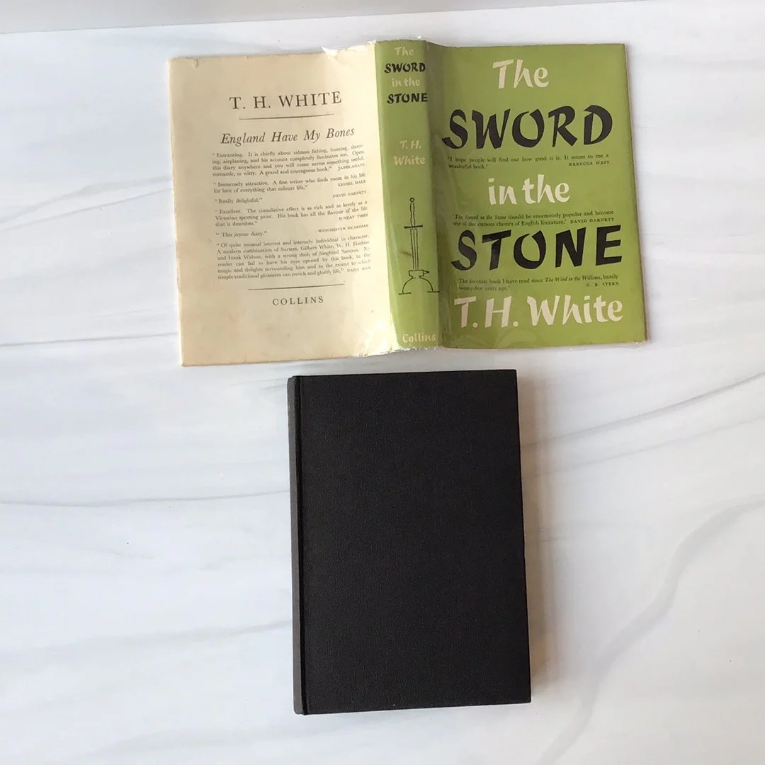 The Sword in the Stone - Image 2